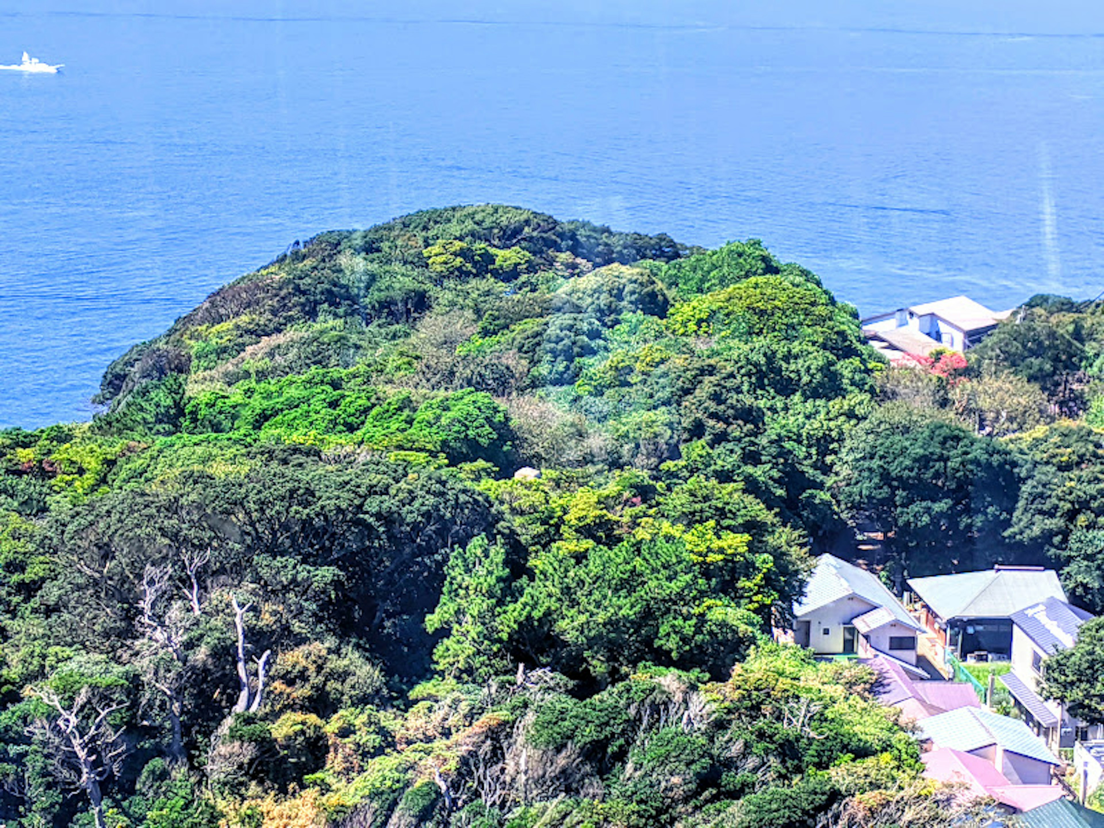 Vista panoramica di un'isola verdeggiante circondata dal mare con case vicine