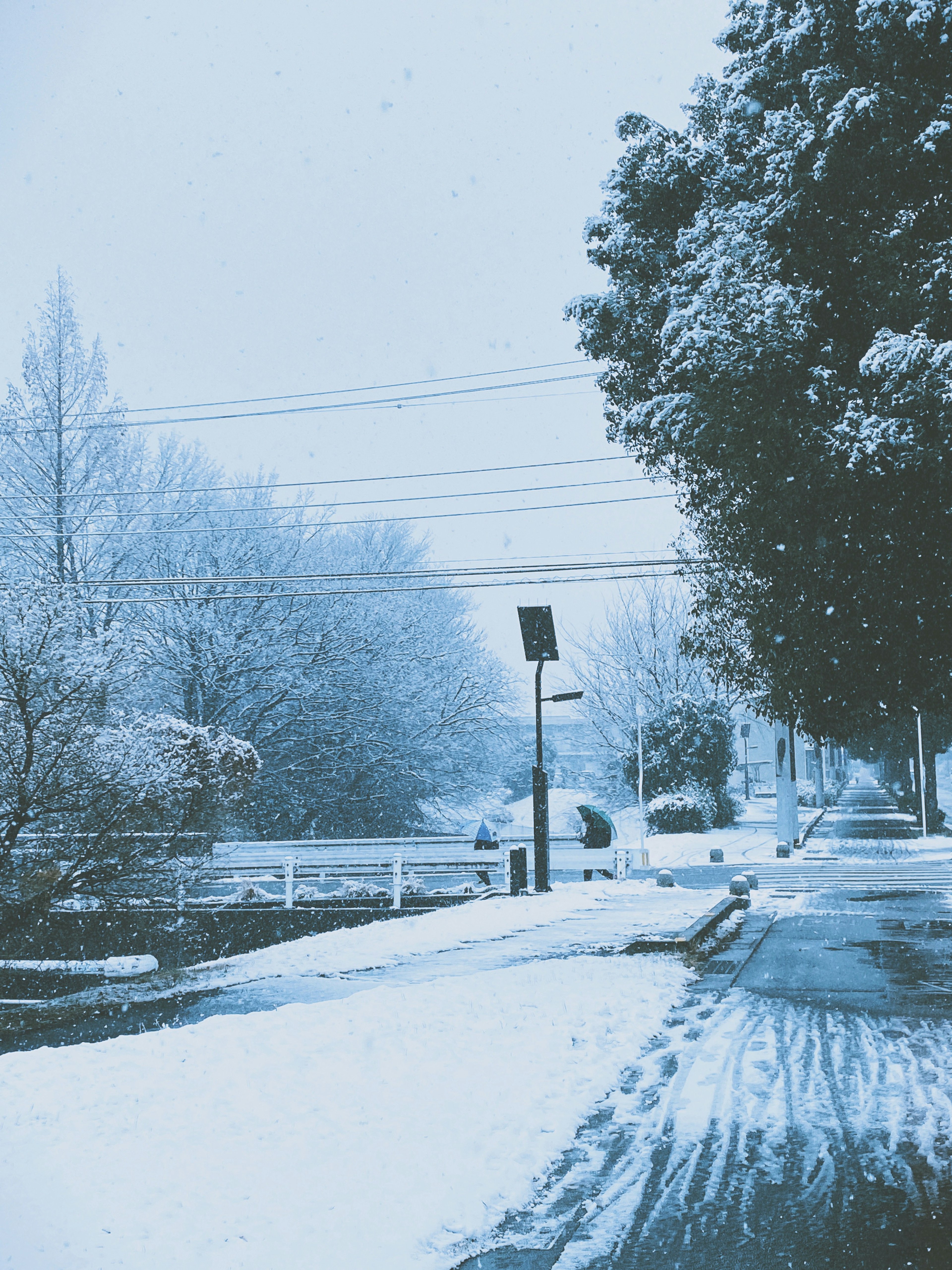 Rue calme couverte de neige avec des arbres et des lignes électriques