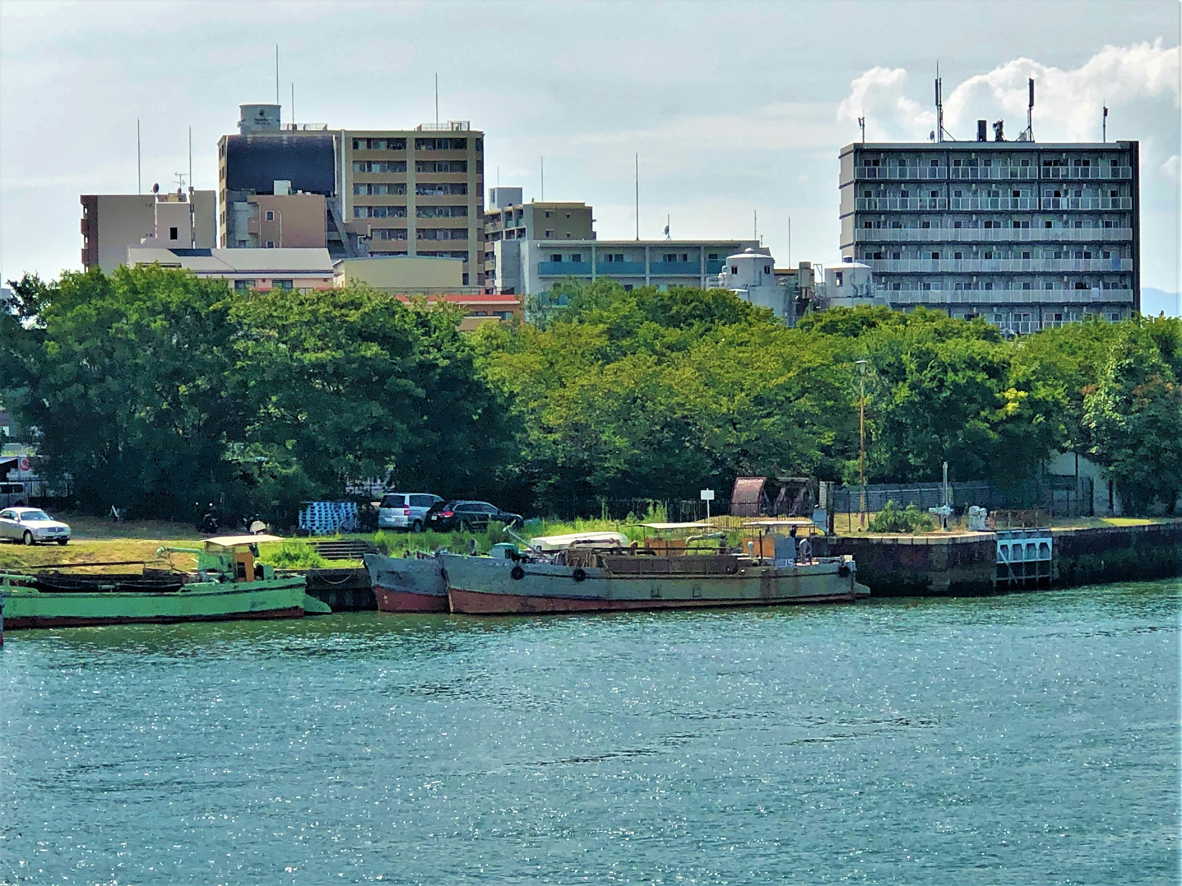 Edificios a lo largo del río con botes y vegetación