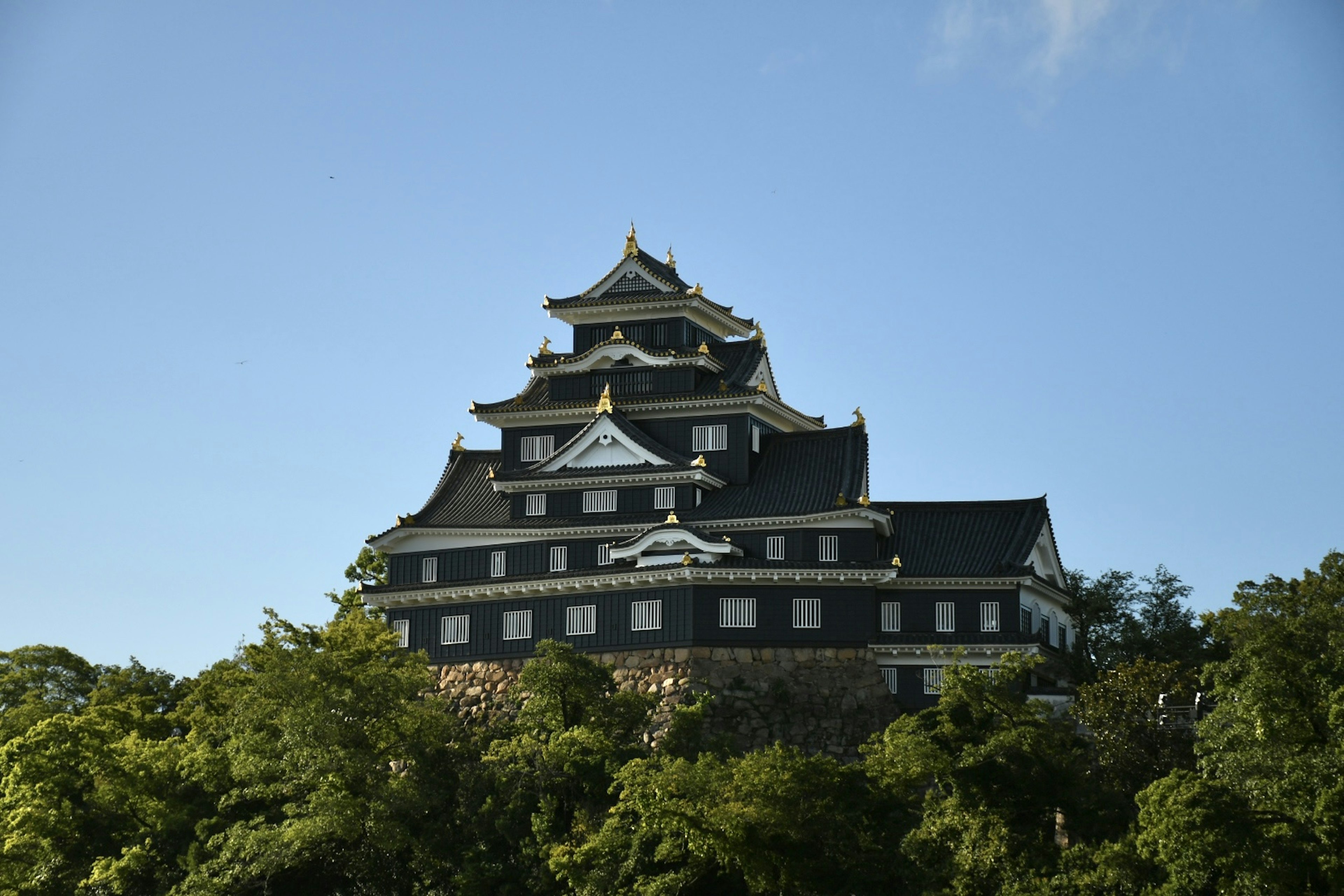 A Japanese castle with a black roof towering among green trees