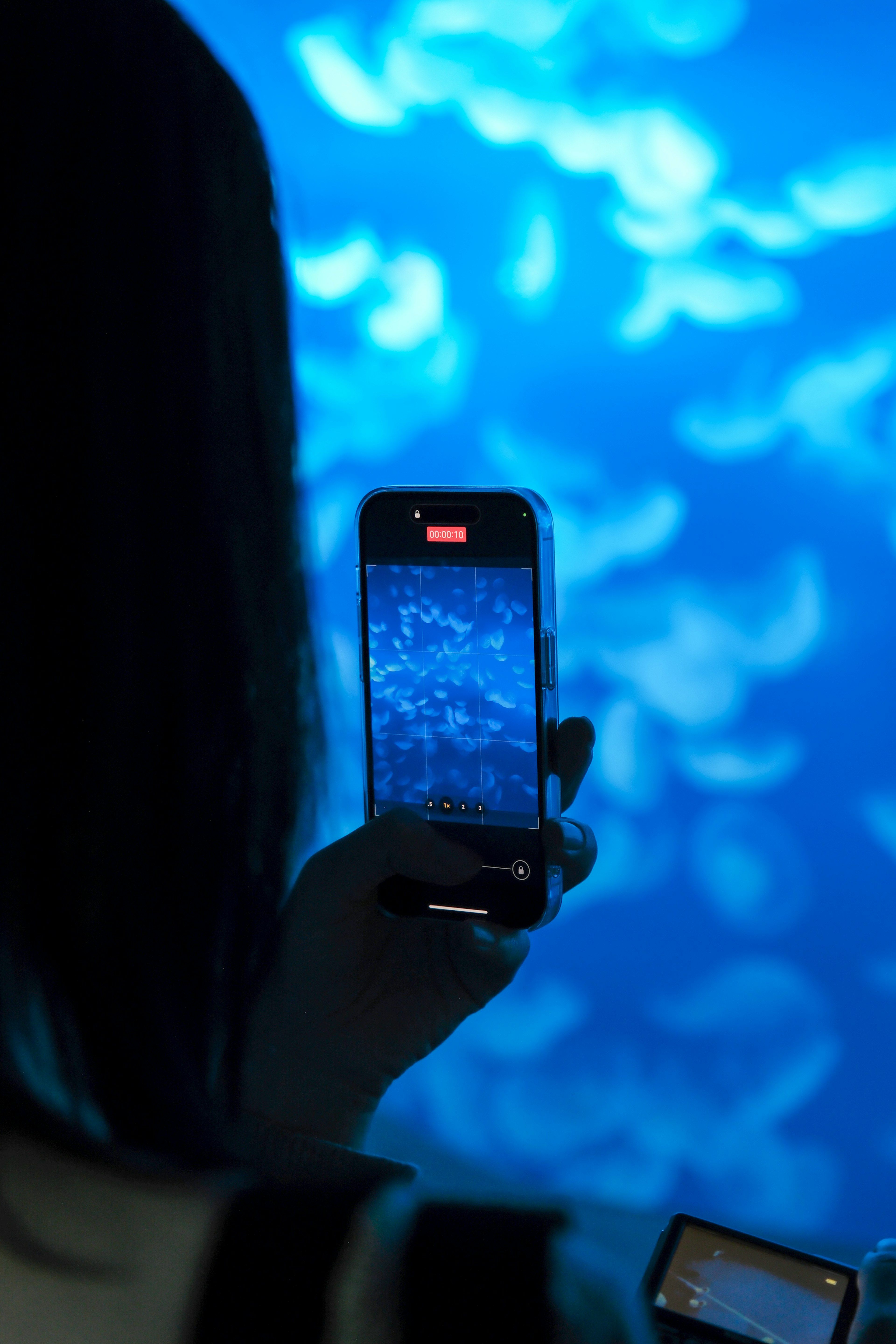 Person, die ein Smartphone hält und blaues Unterwasserlicht aufnimmt