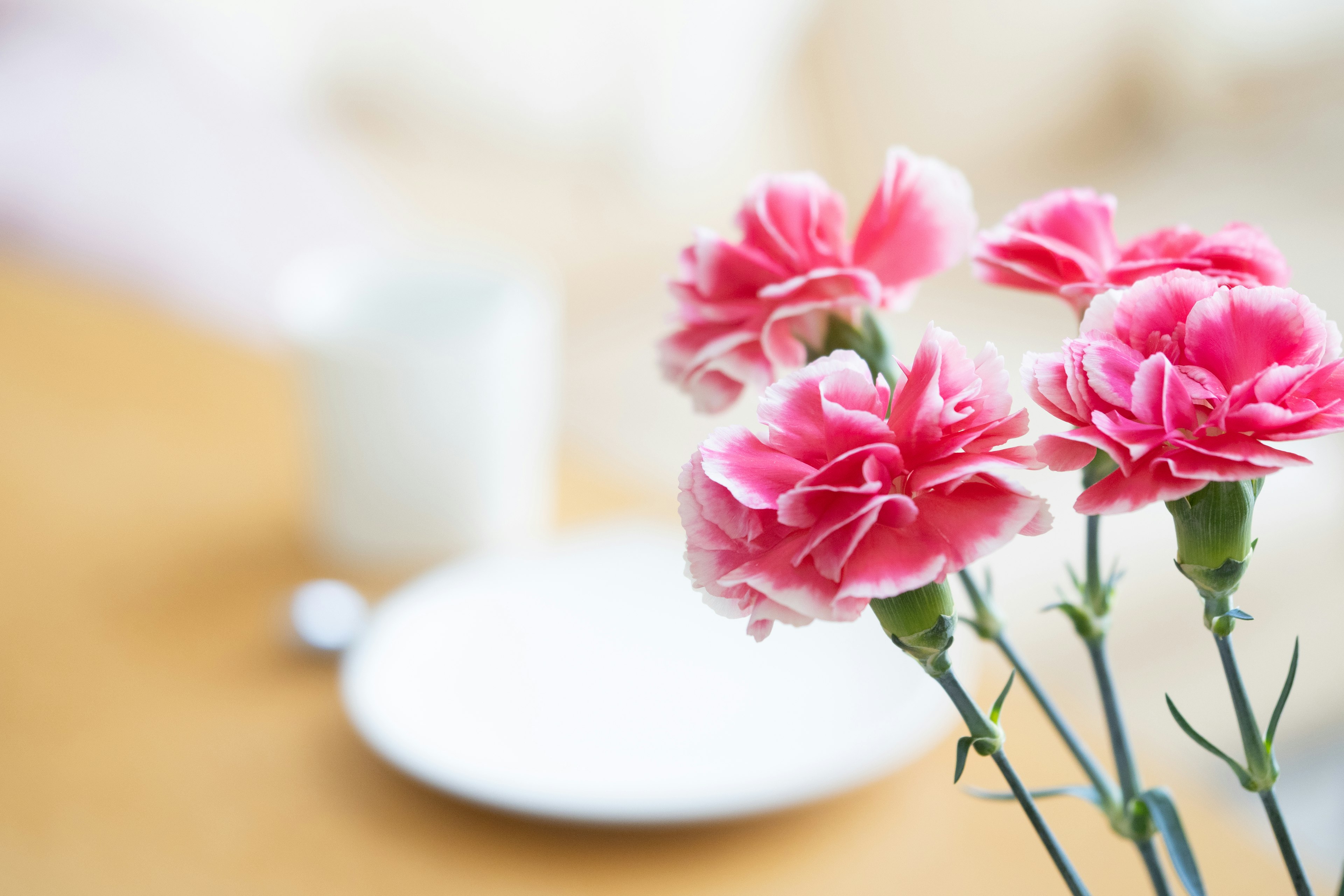 Pink carnations in a vase on a wooden table with a white plate and cup in the background