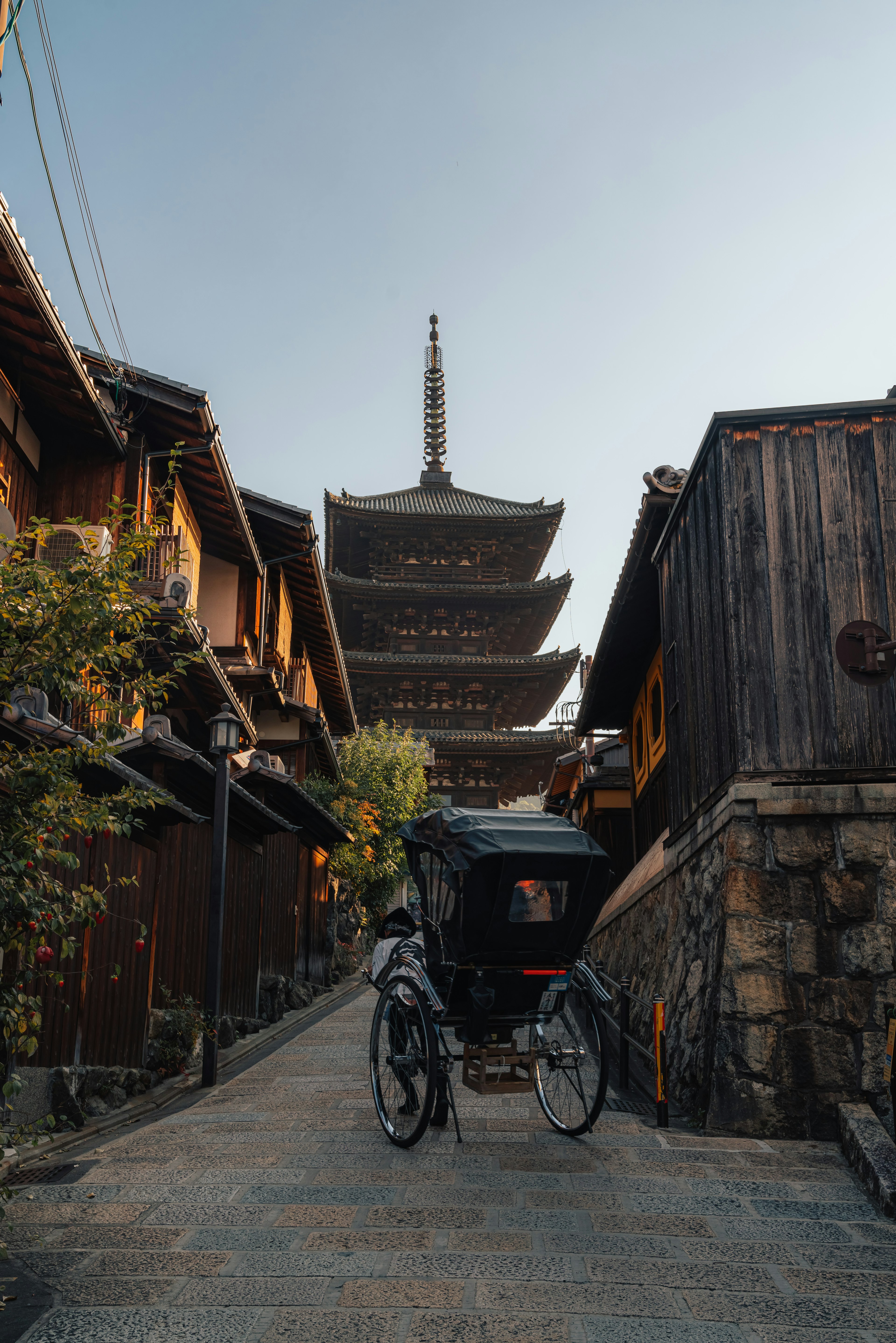 Vue pittoresque de bâtiments en bois traditionnels et d'un rickshaw avec une pagode en arrière-plan