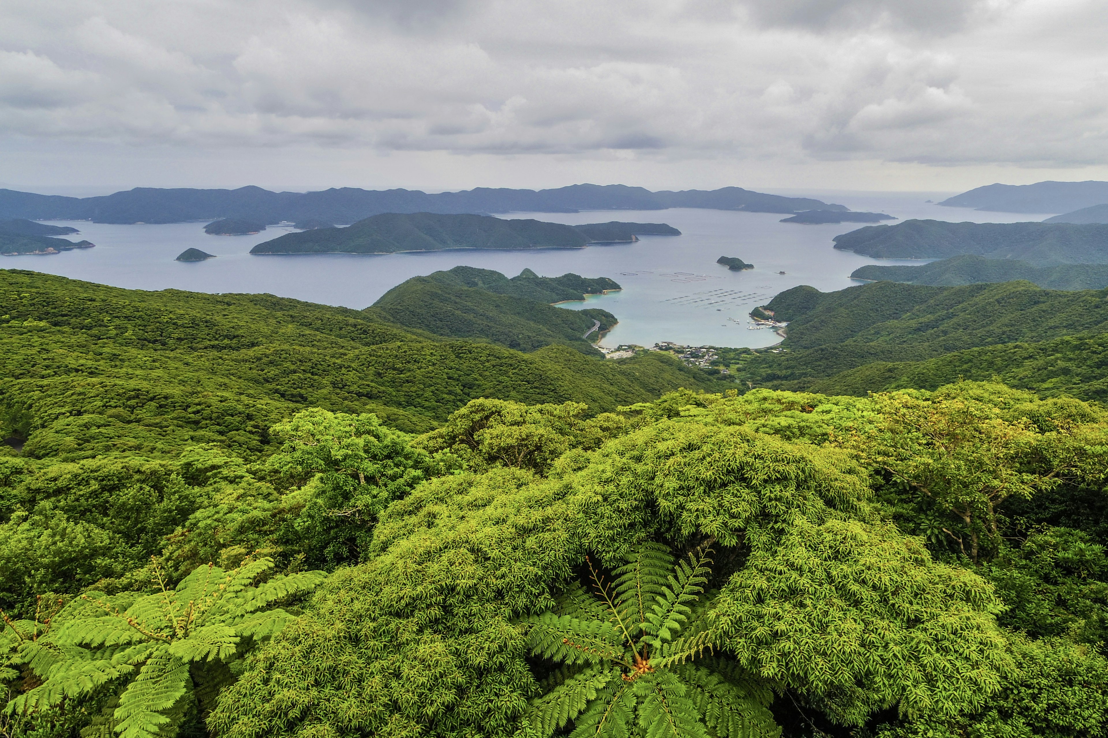 Lush green mountains overlooking a serene bay with scattered islands