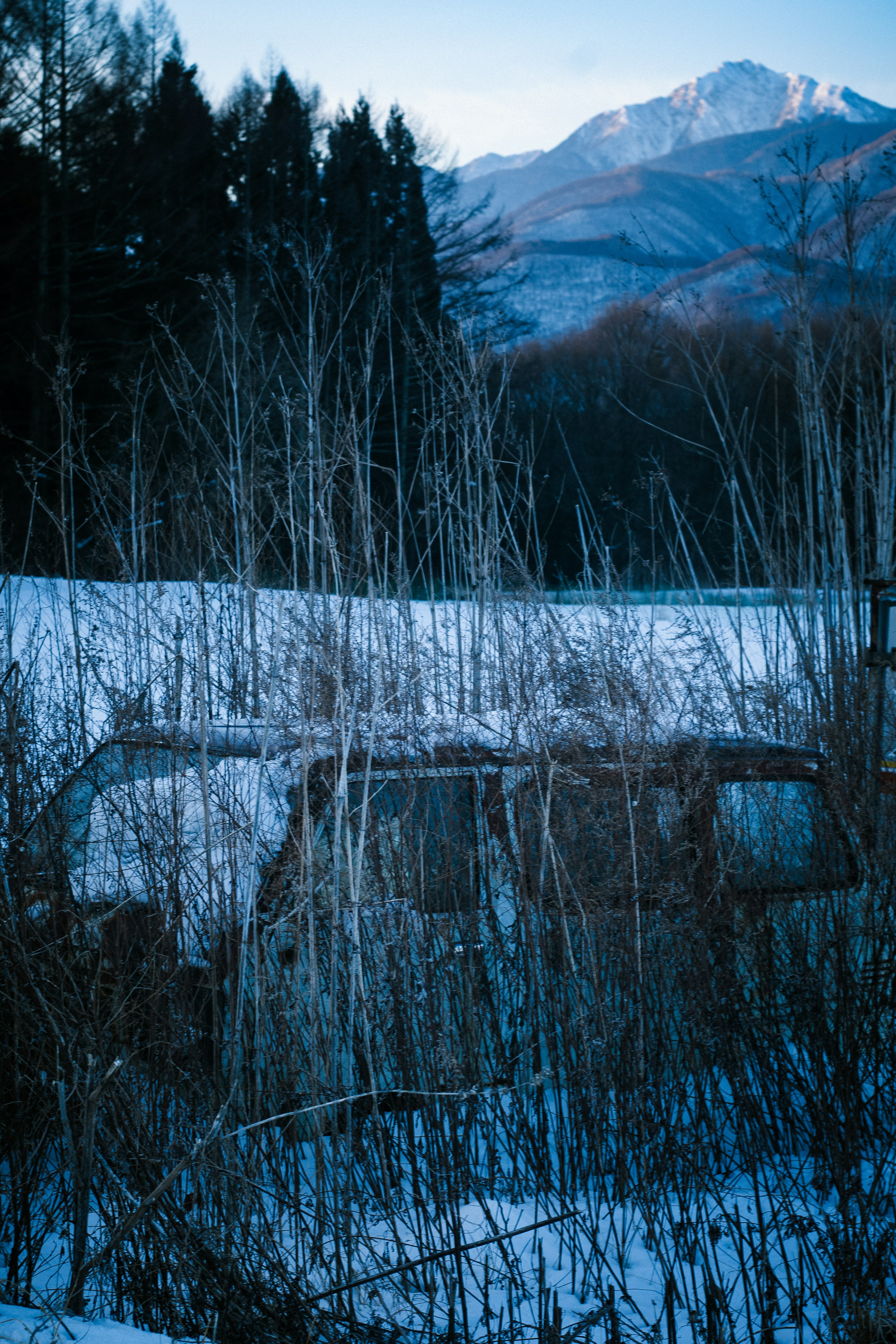 Vecchia auto coperta di neve con montagne sullo sfondo