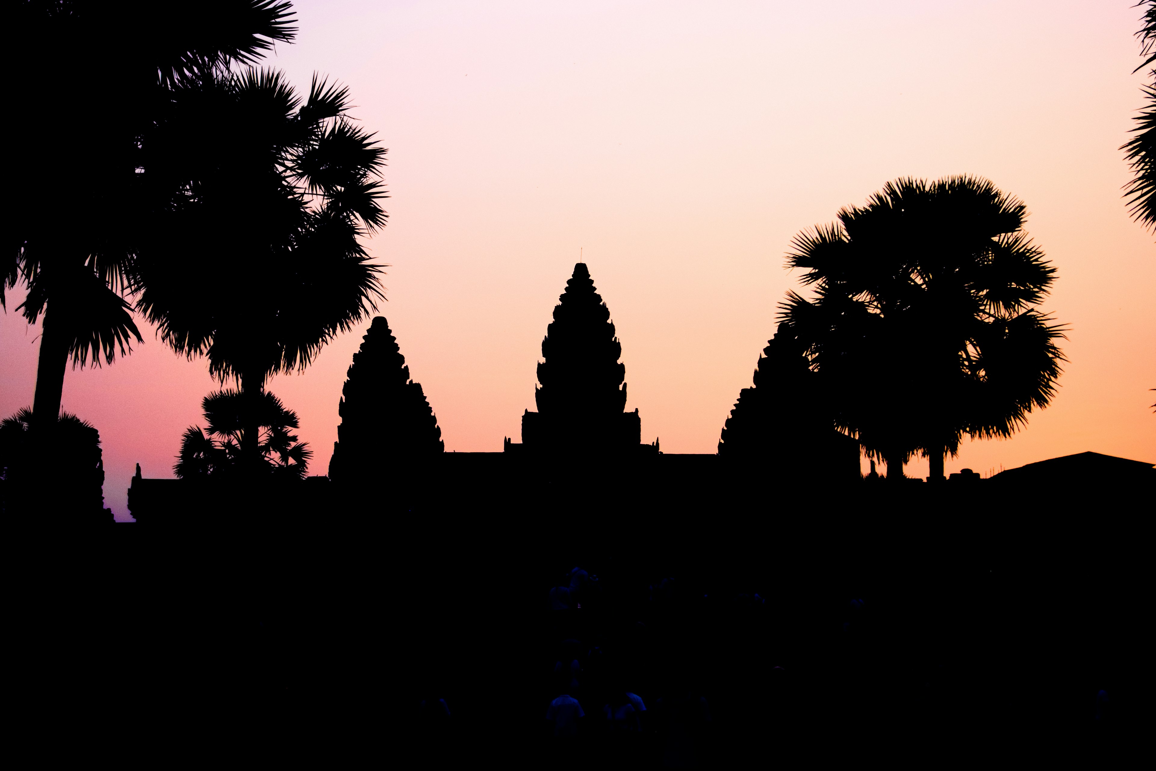 Silhouette der Türme von Angkor Wat vor einem Sonnenuntergangshimmel mit Palmen