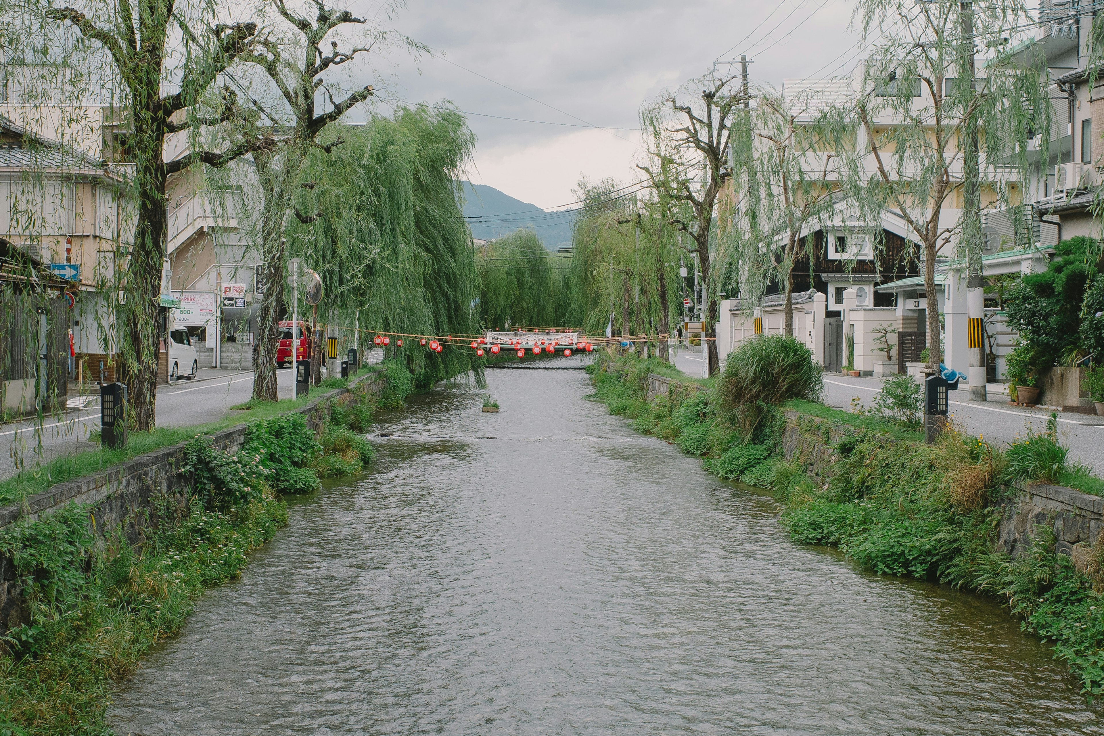 緑の木々に囲まれた静かな川の風景