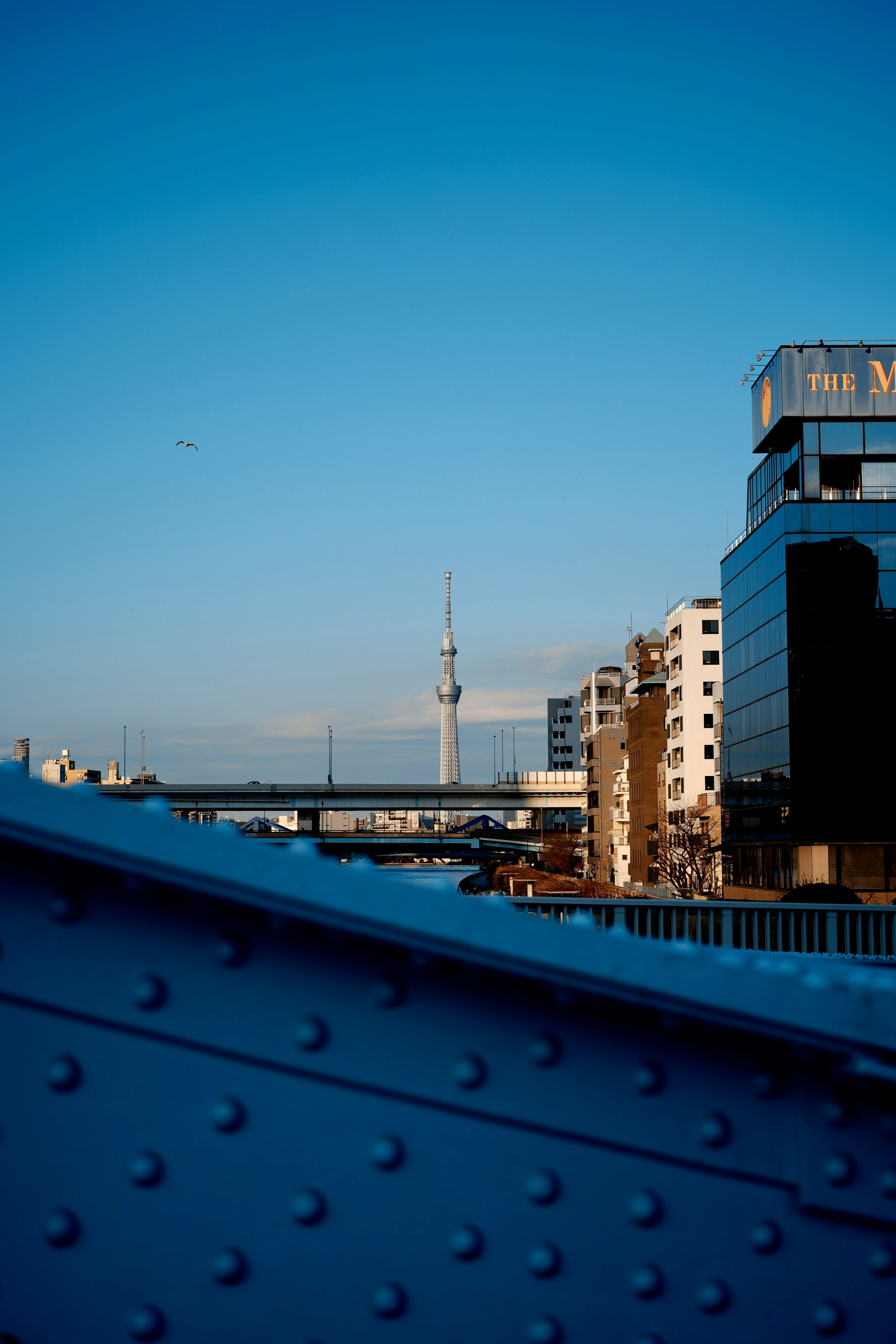 青い空の下に東京スカイツリーが見える都市の風景