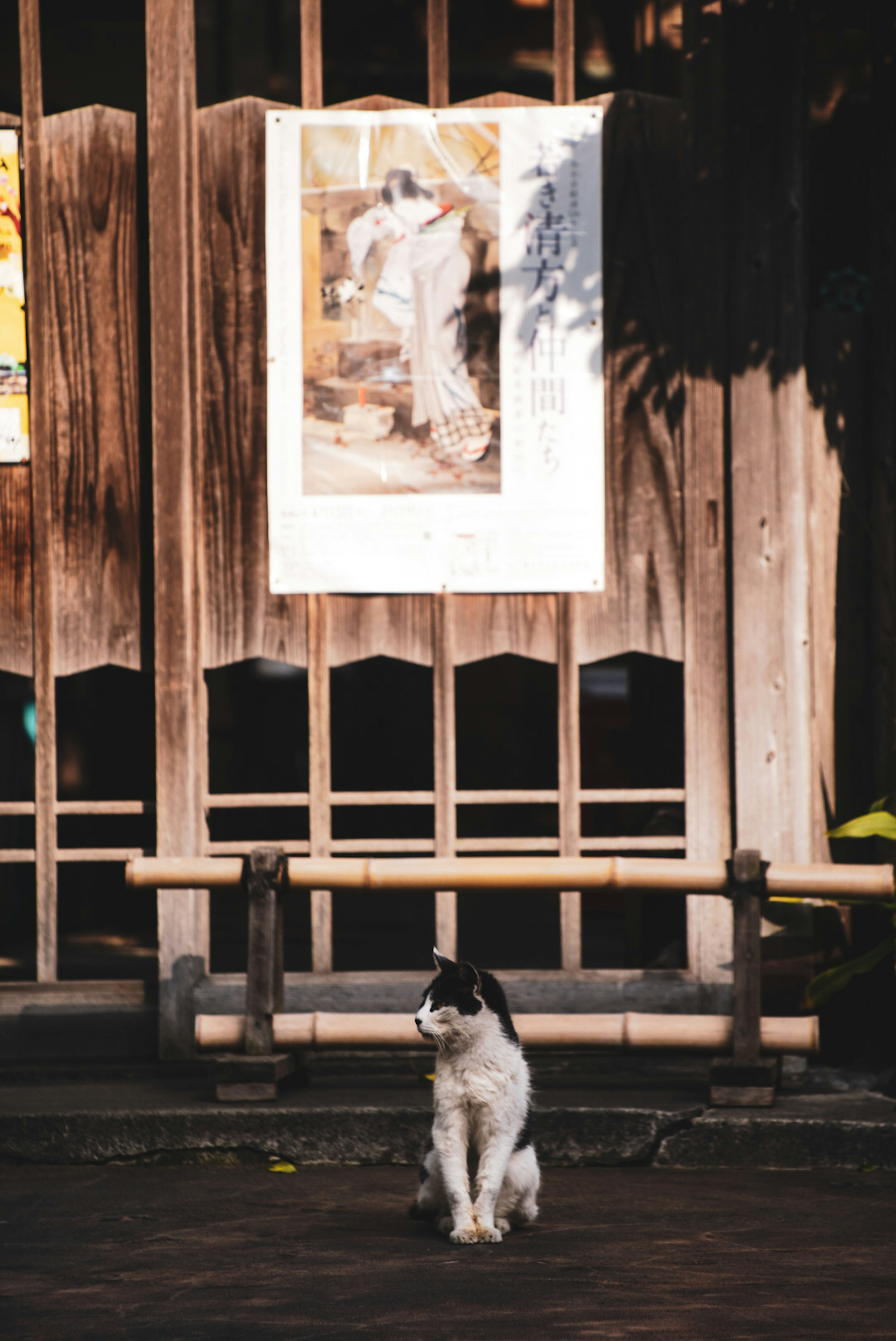 Un gatto bianco e nero seduto davanti a una recinzione di legno con un poster artistico sullo sfondo