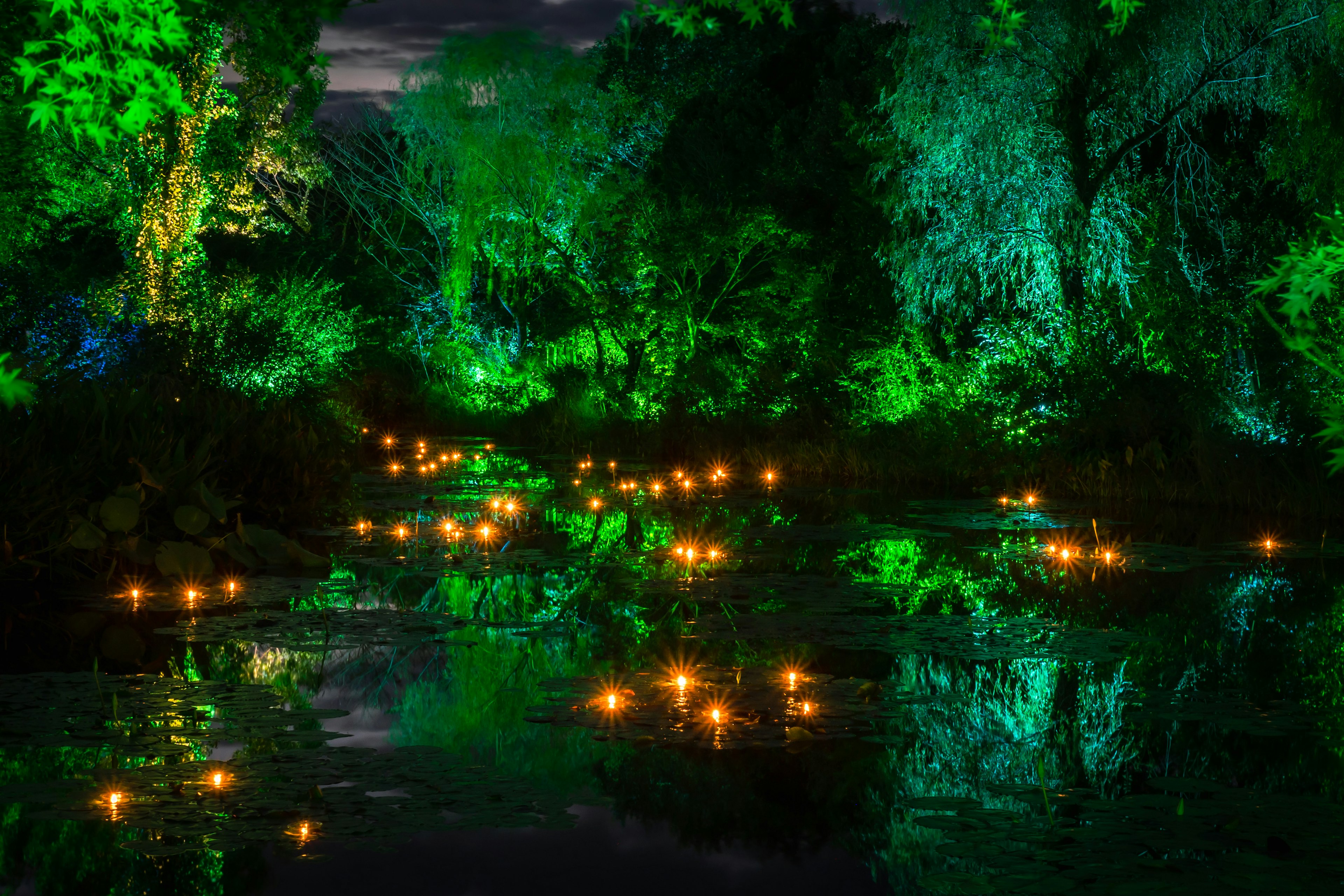 Serene river scene illuminated by green lights with floating candles and lush greenery