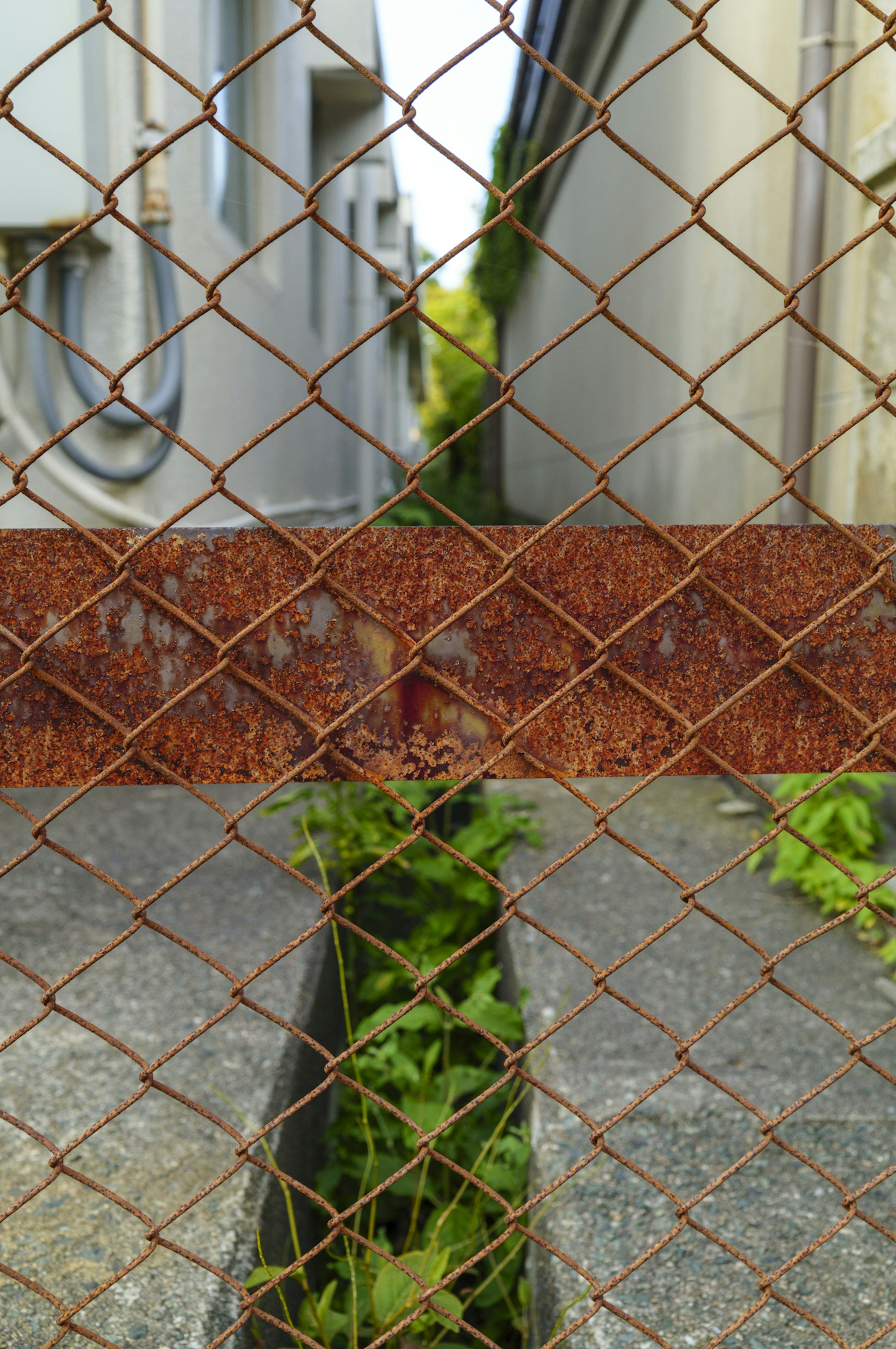 Pasaje estrecho con vegetación visible a través de una vieja cerca oxidada