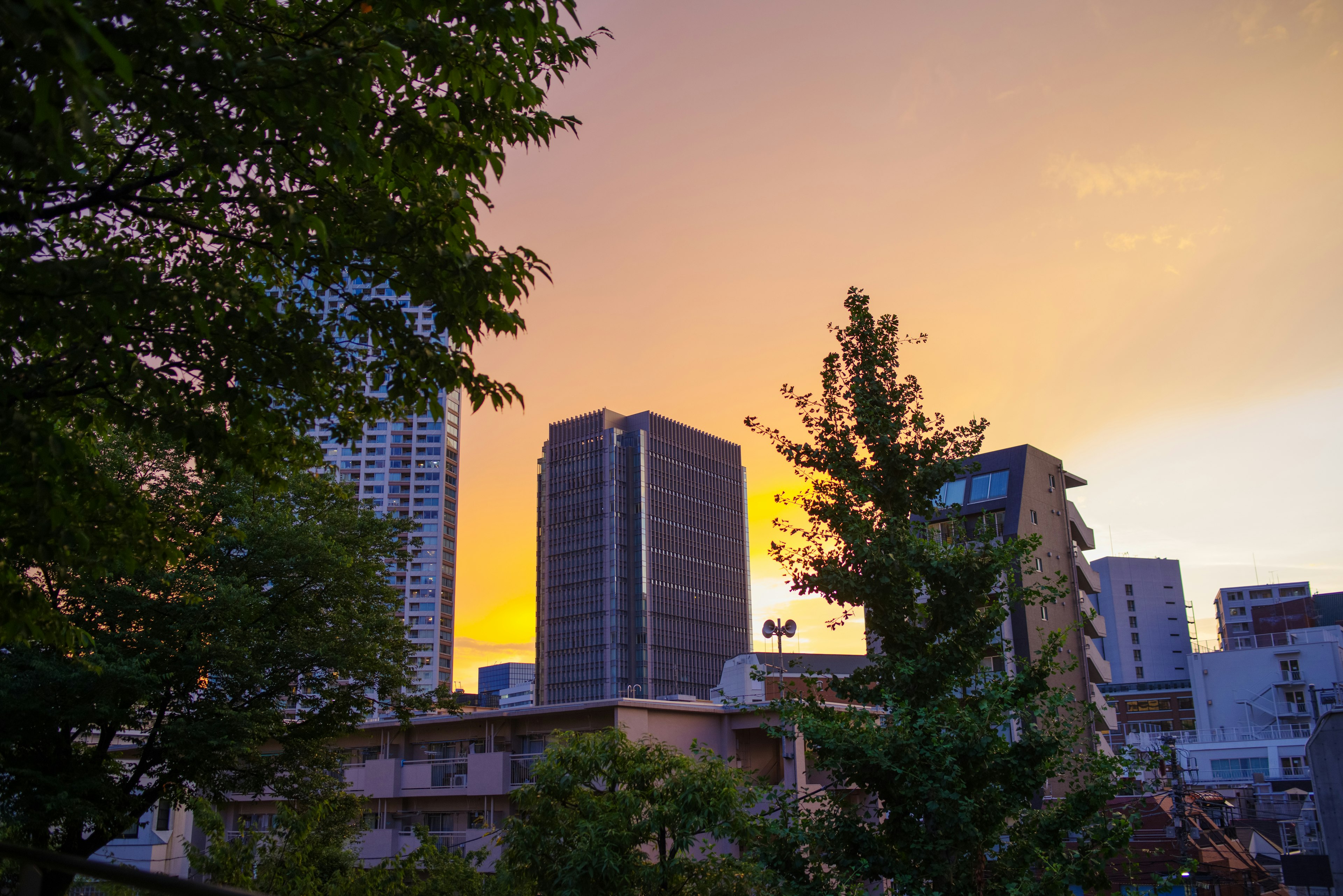 Skyline cittadino con edifici in controluce contro un cielo al tramonto e alberi verdi