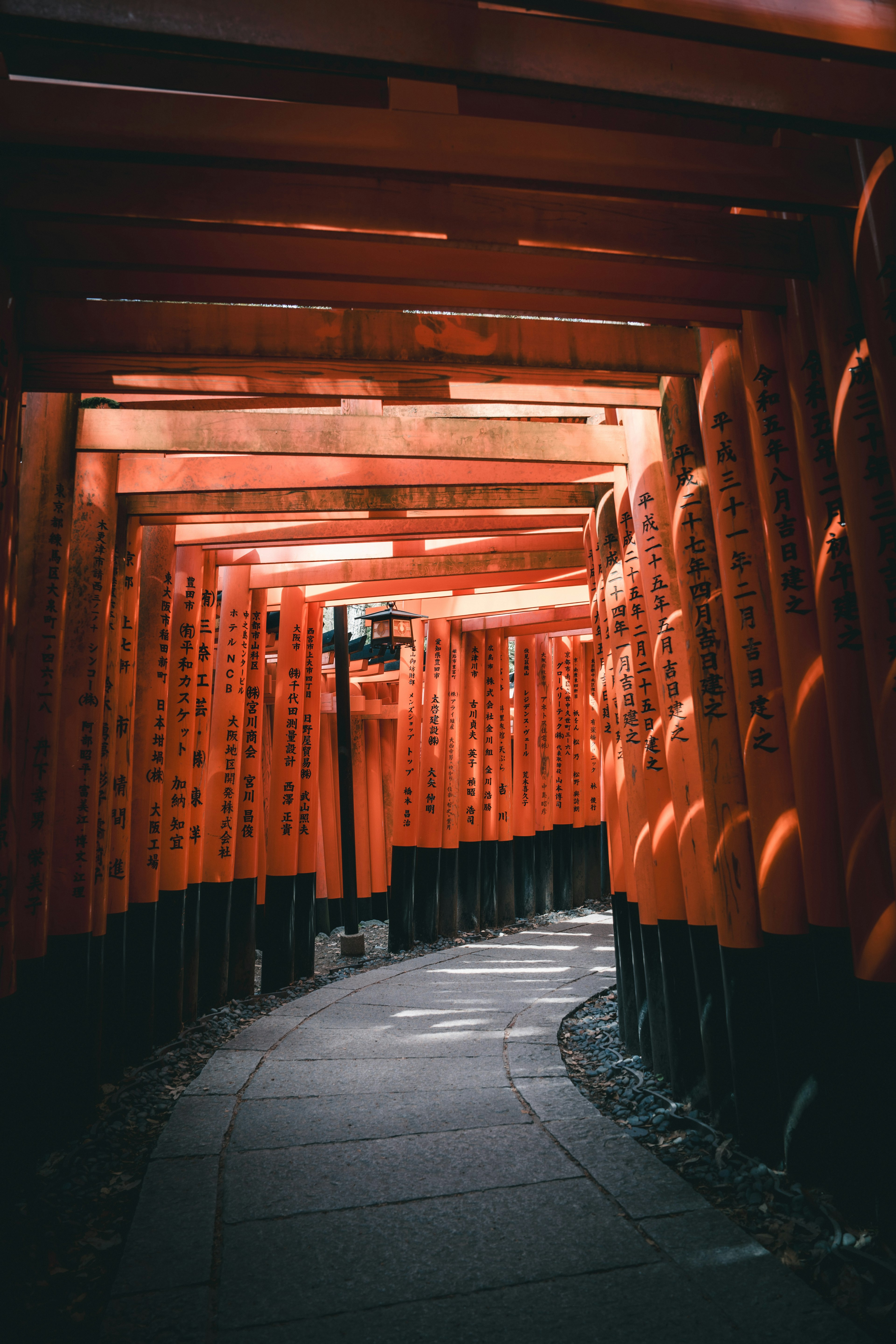 Jalan terowongan yang dikelilingi gerbang torii merah