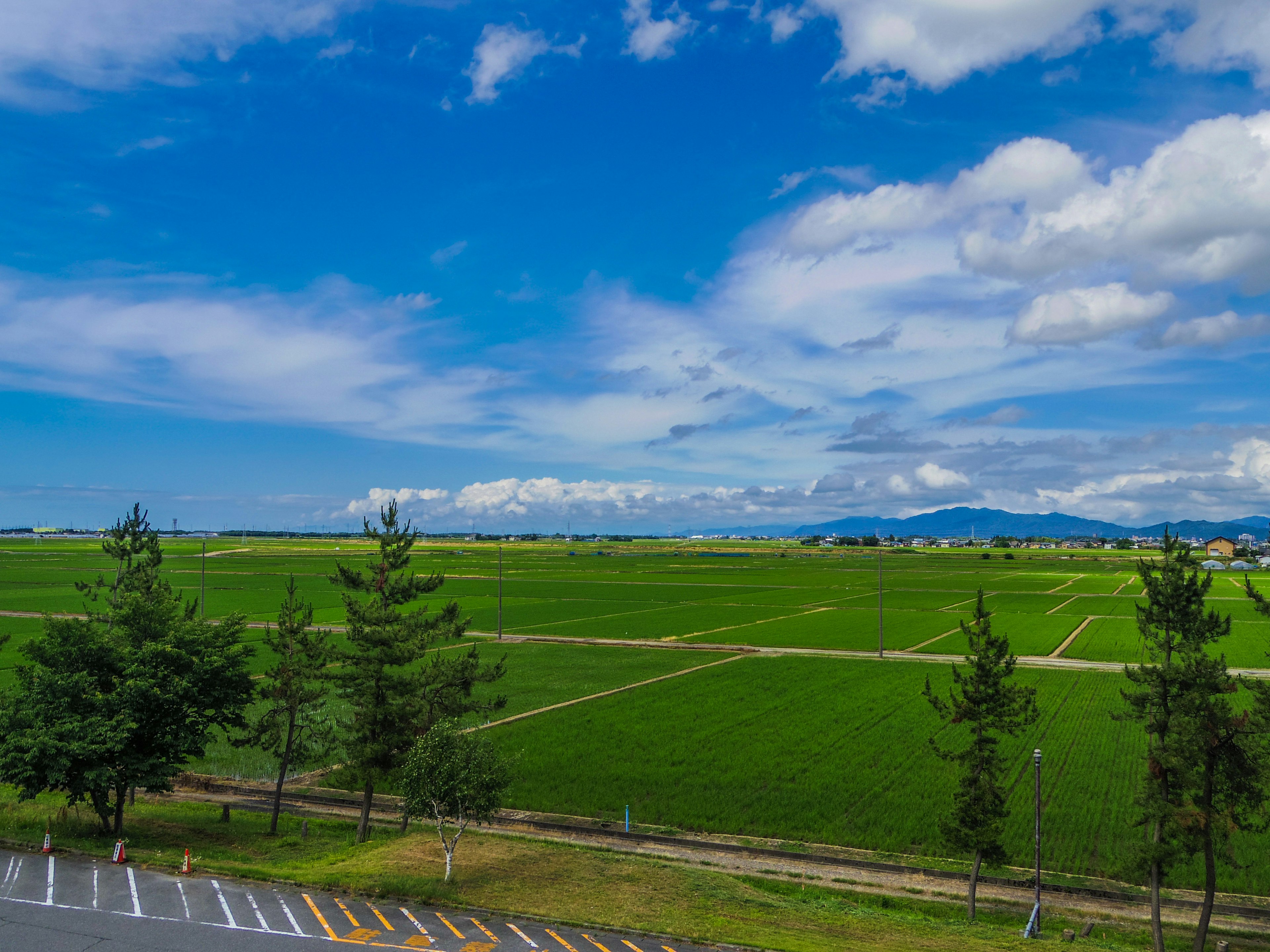 Vast landscape with blue sky and white clouds Green rice fields stretching under the sunlight with distant mountains