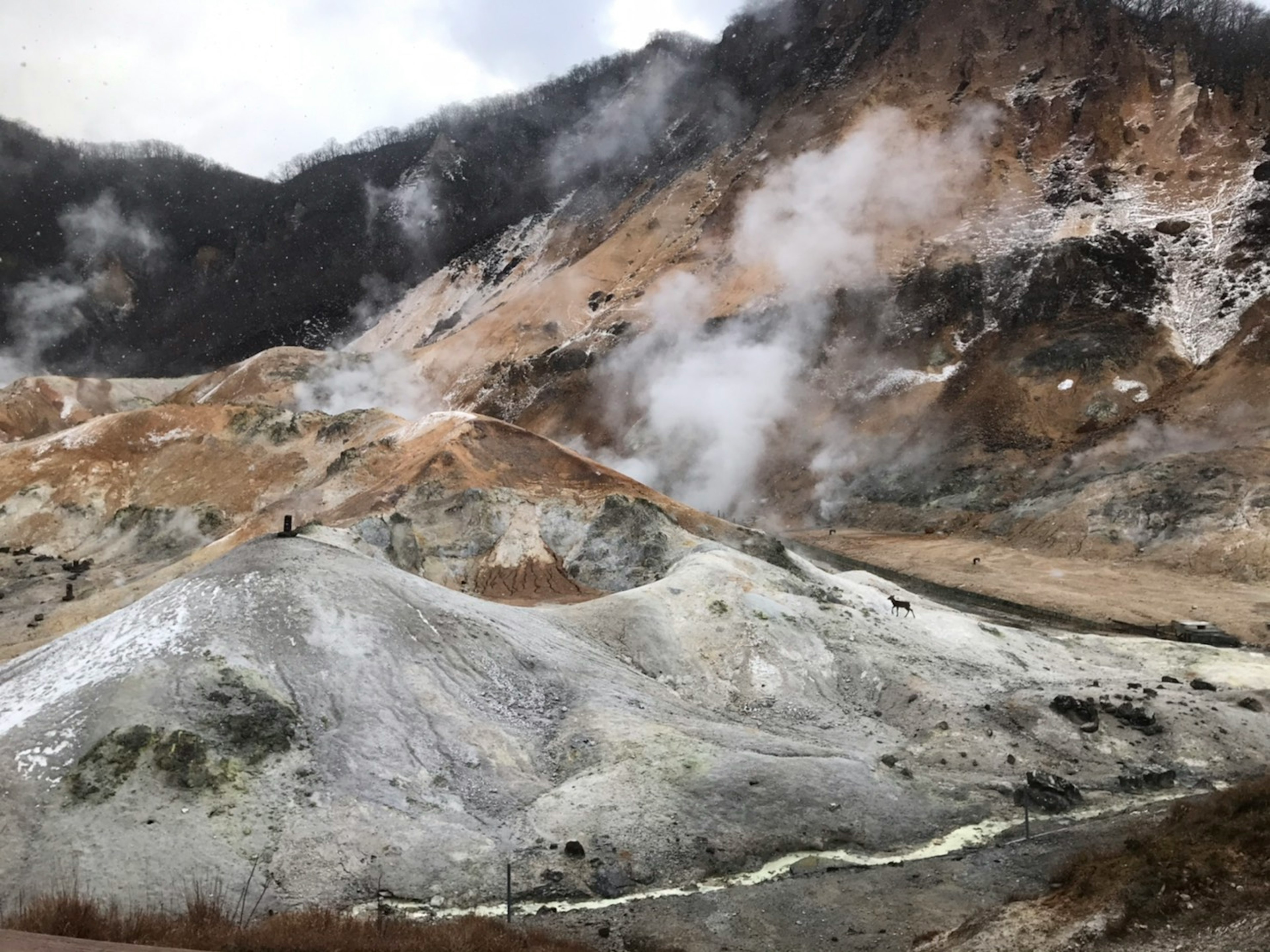 Vista panoramica di un'area geotermica con vapore che sale dal suolo e colline grigie