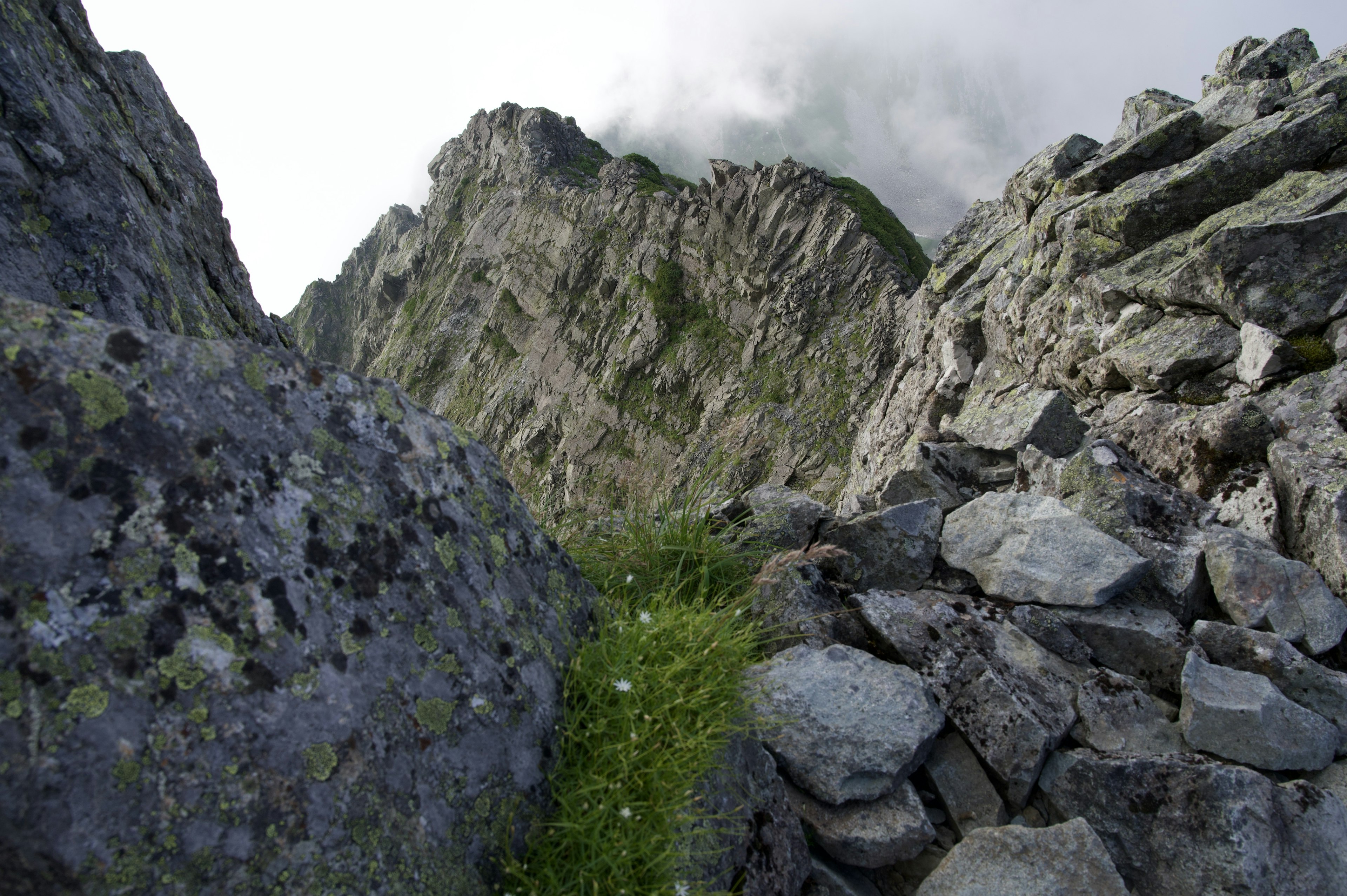 Sendero estrecho entre montañas con rocas y hierba visibles