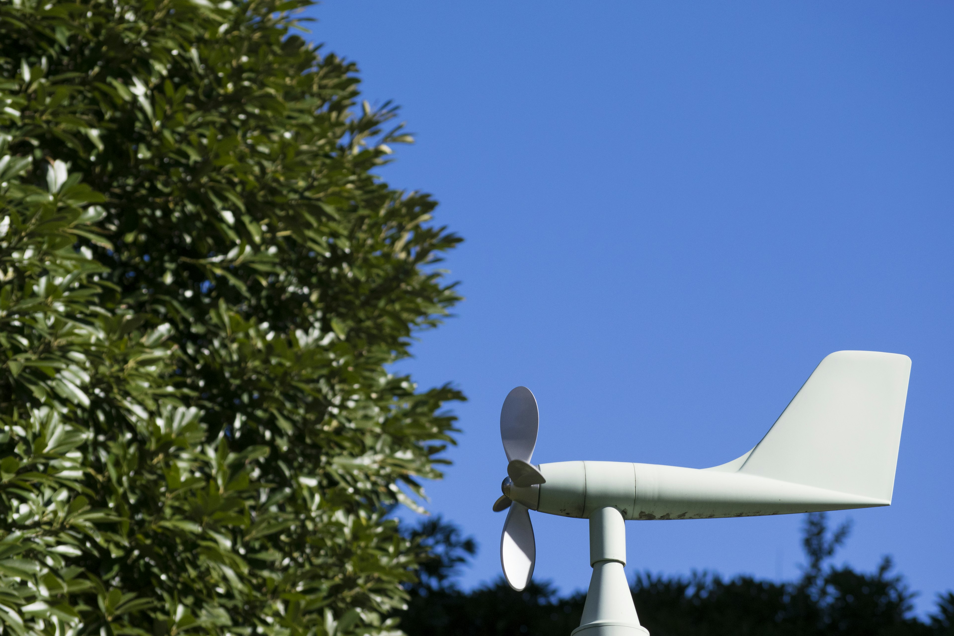 Windkraftanlage neben einem grünen Baum unter blauem Himmel