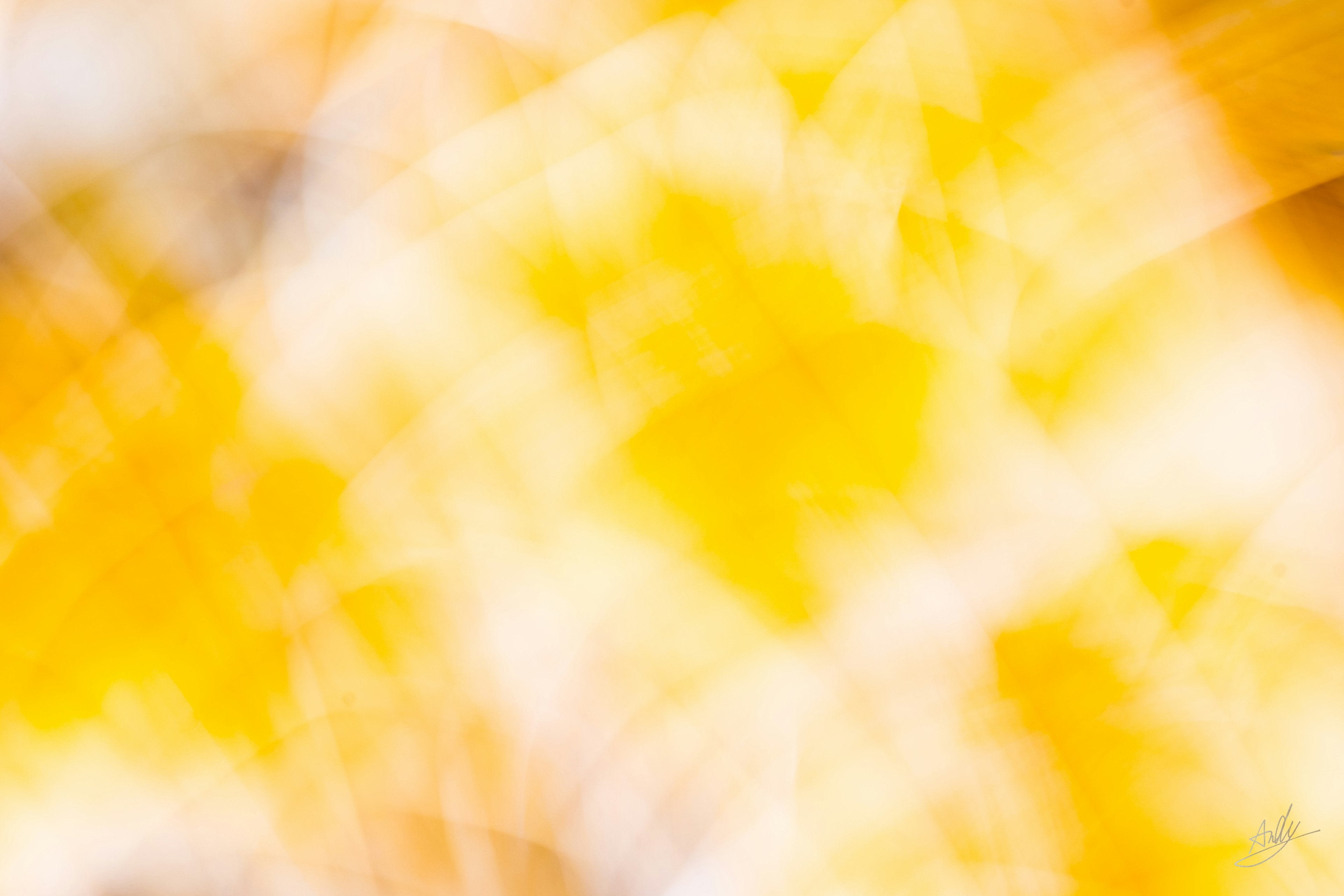 Abstract background with blurred yellow and white colors