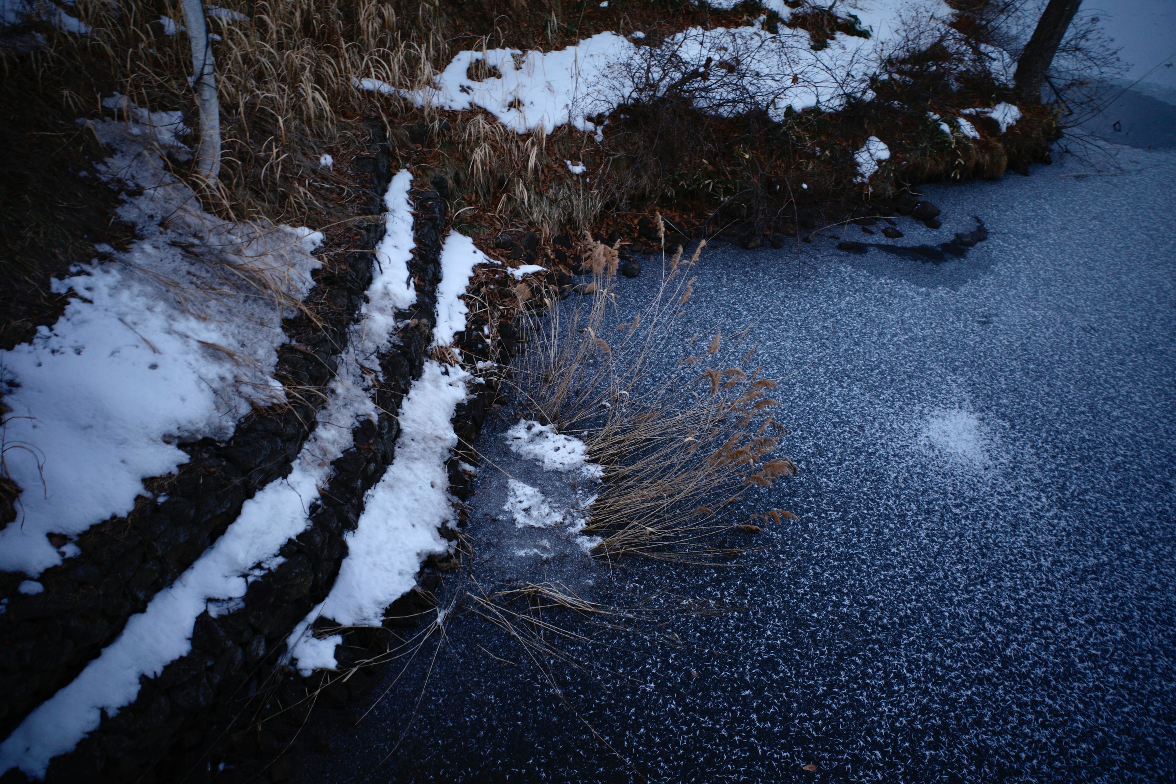 Paisaje con hierba cubierta de nieve y superficie de hielo