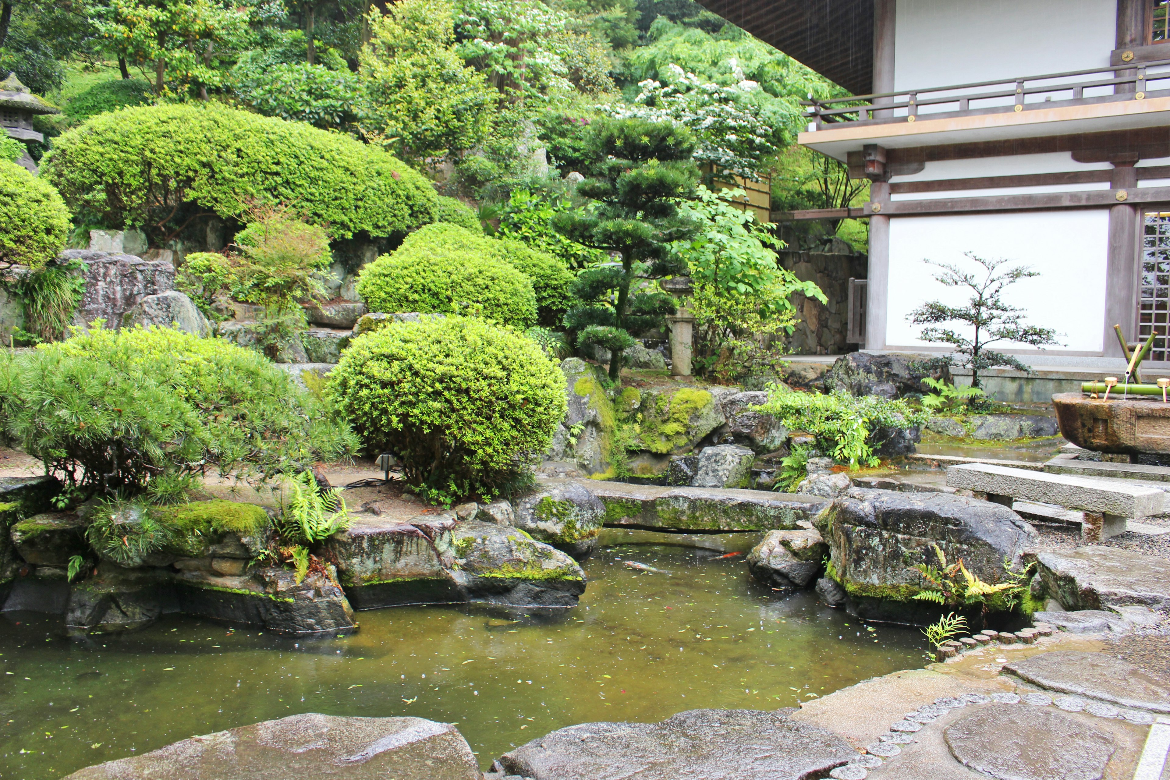 传统日本庭院，有石头池塘和修剪整齐的绿植