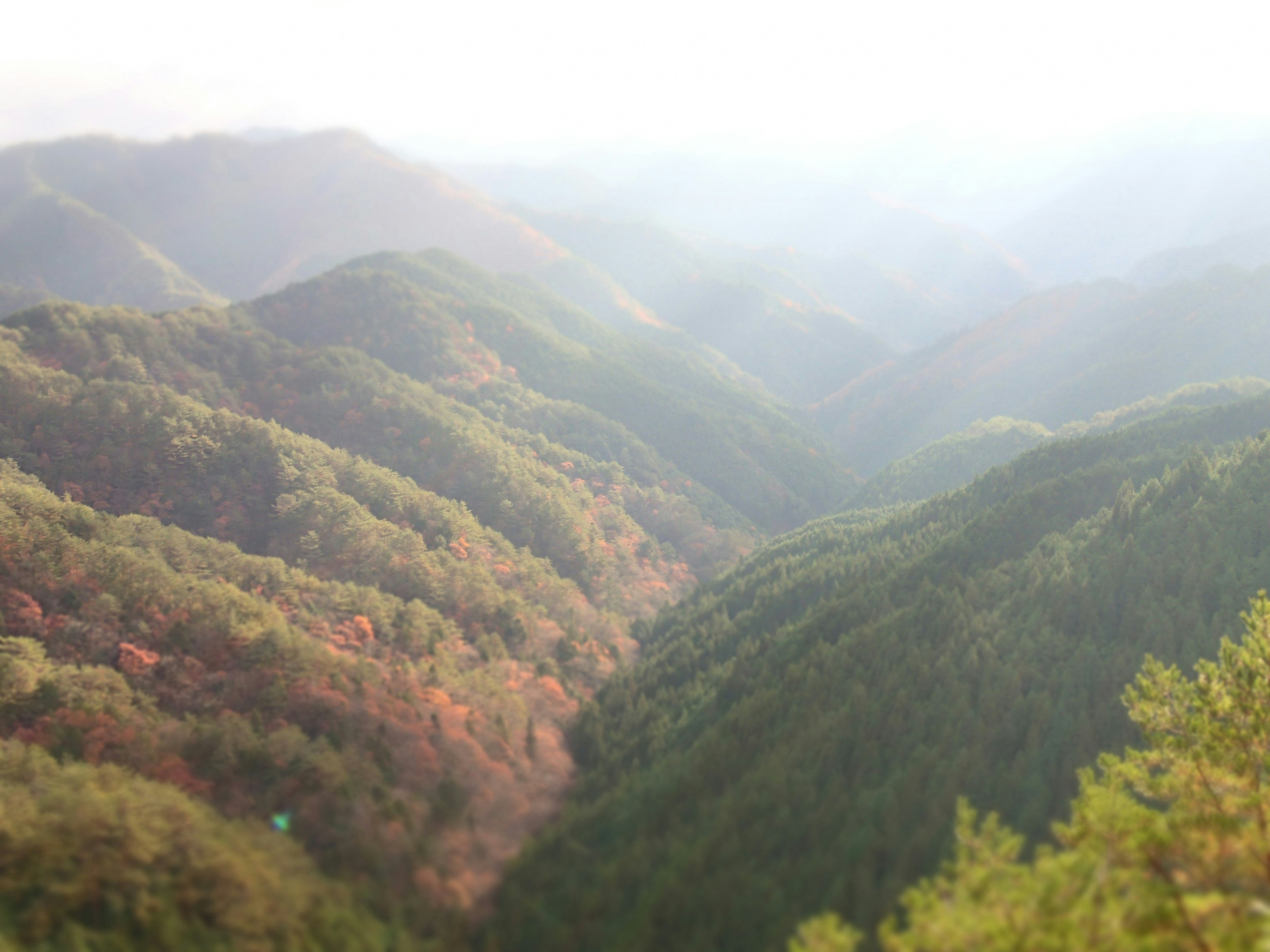 美しい山々と秋の色合いを持つ風景