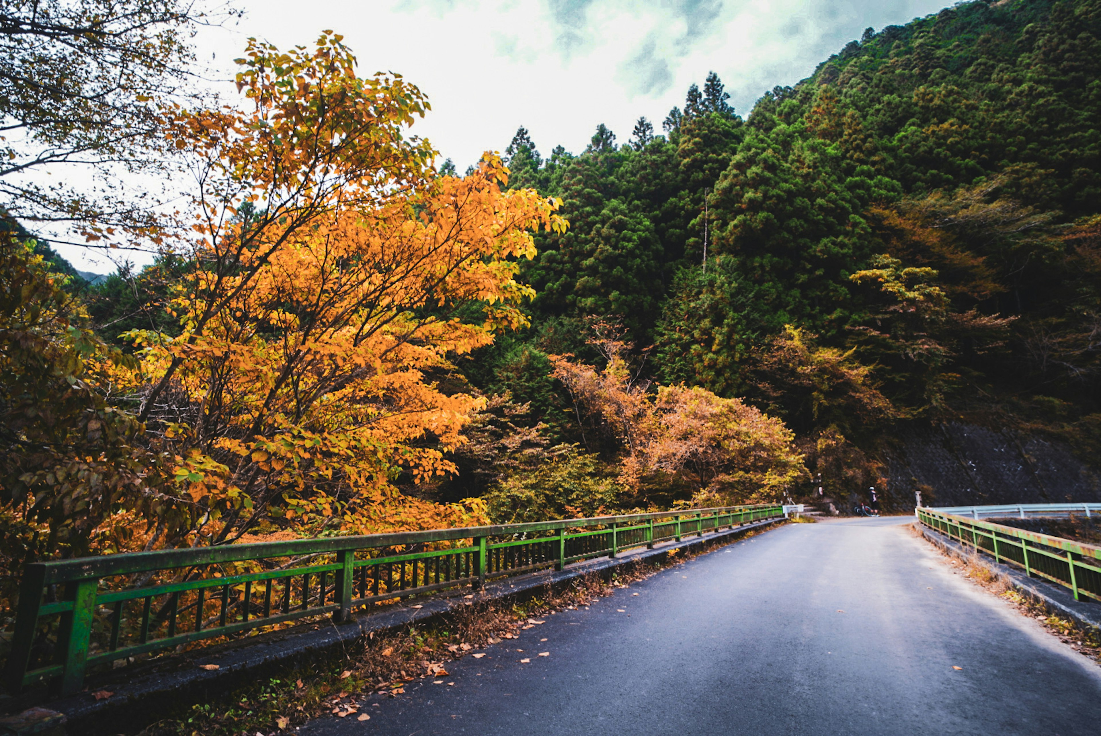 Malersicher Blick auf eine Bergstraße mit lebhaftem Herbstlaub