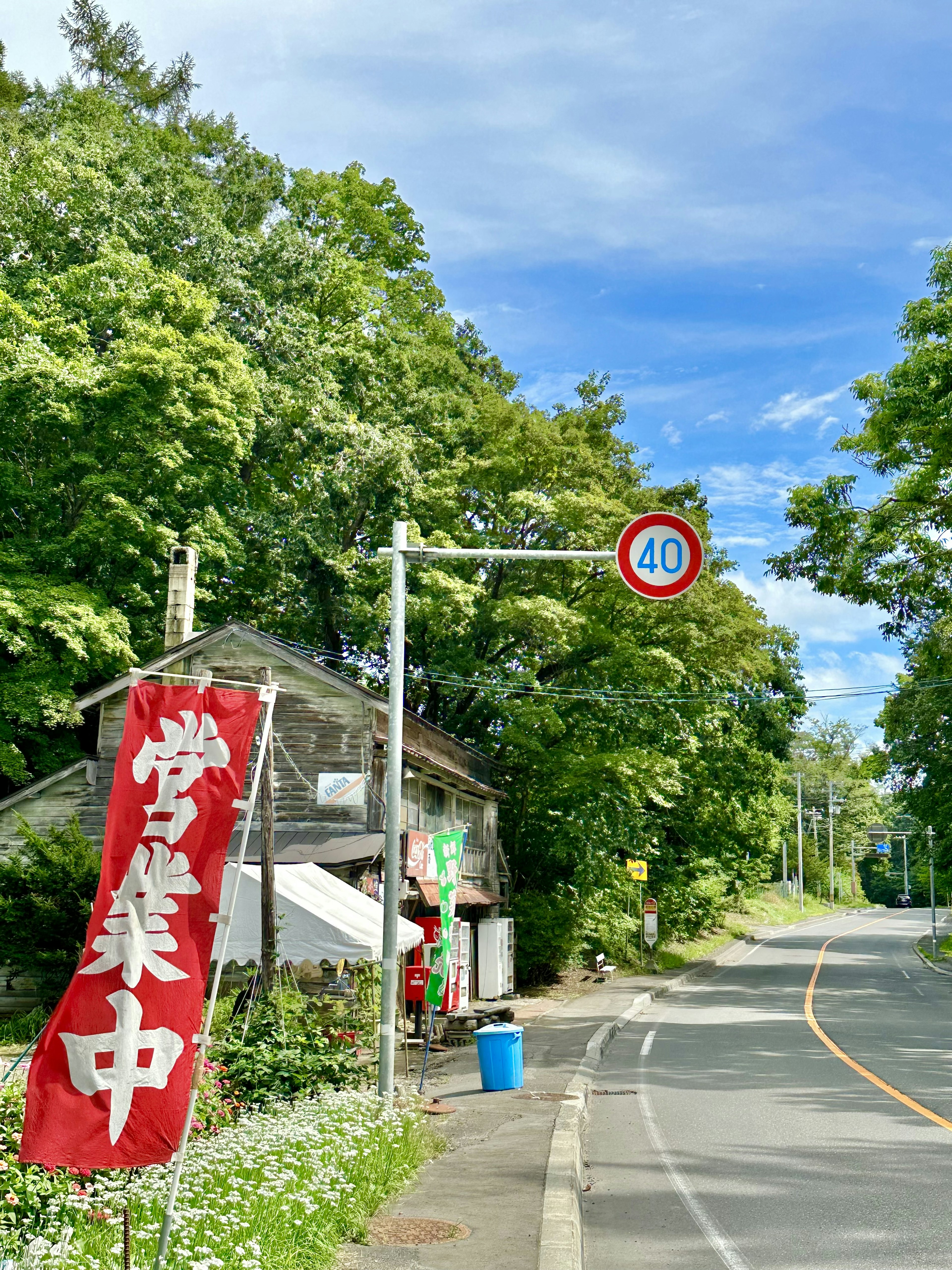 Banner rojo y señal de límite de velocidad de 40 km a lo largo de una carretera arbolada