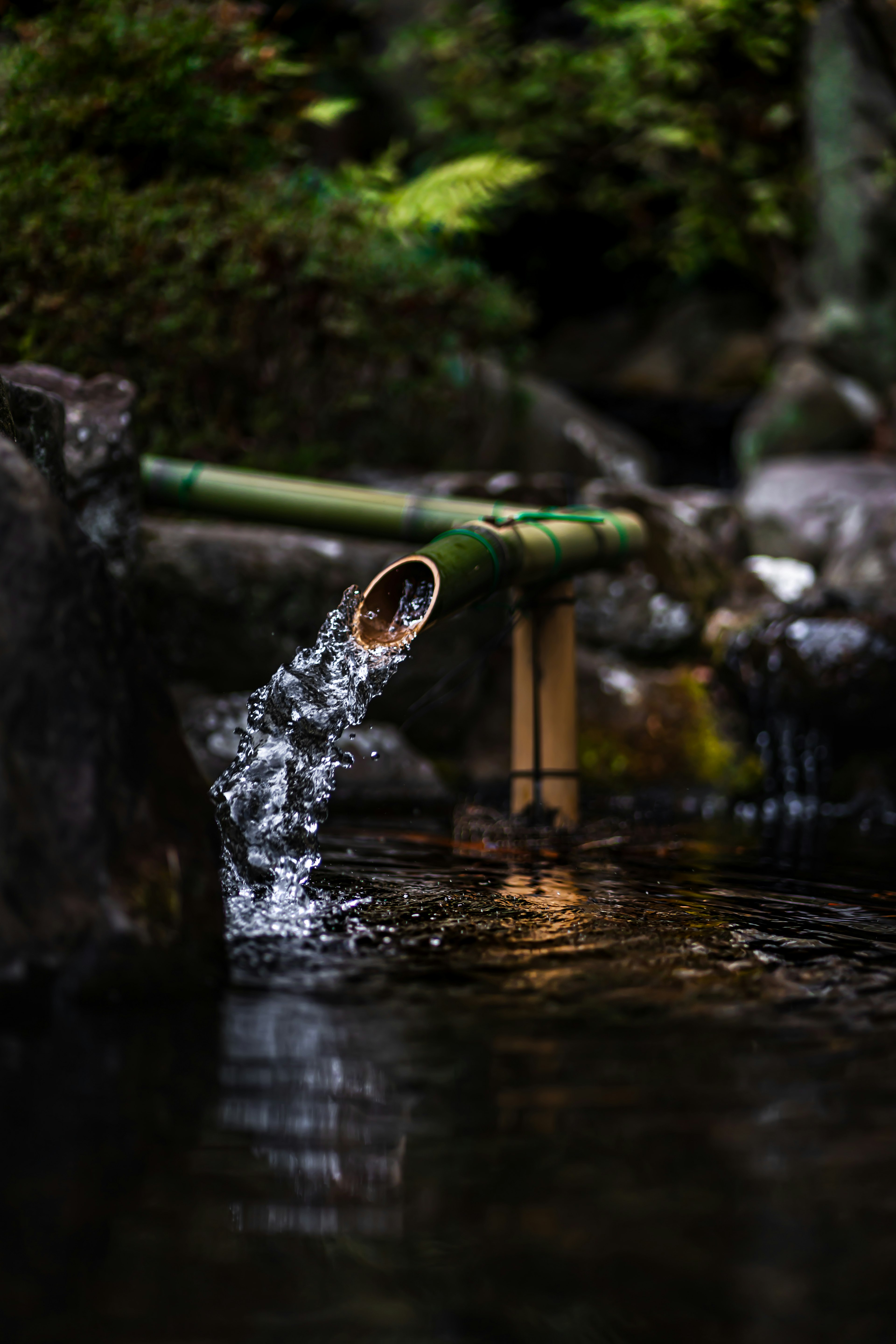 竹の水流が流れ落ちる静かな池の風景