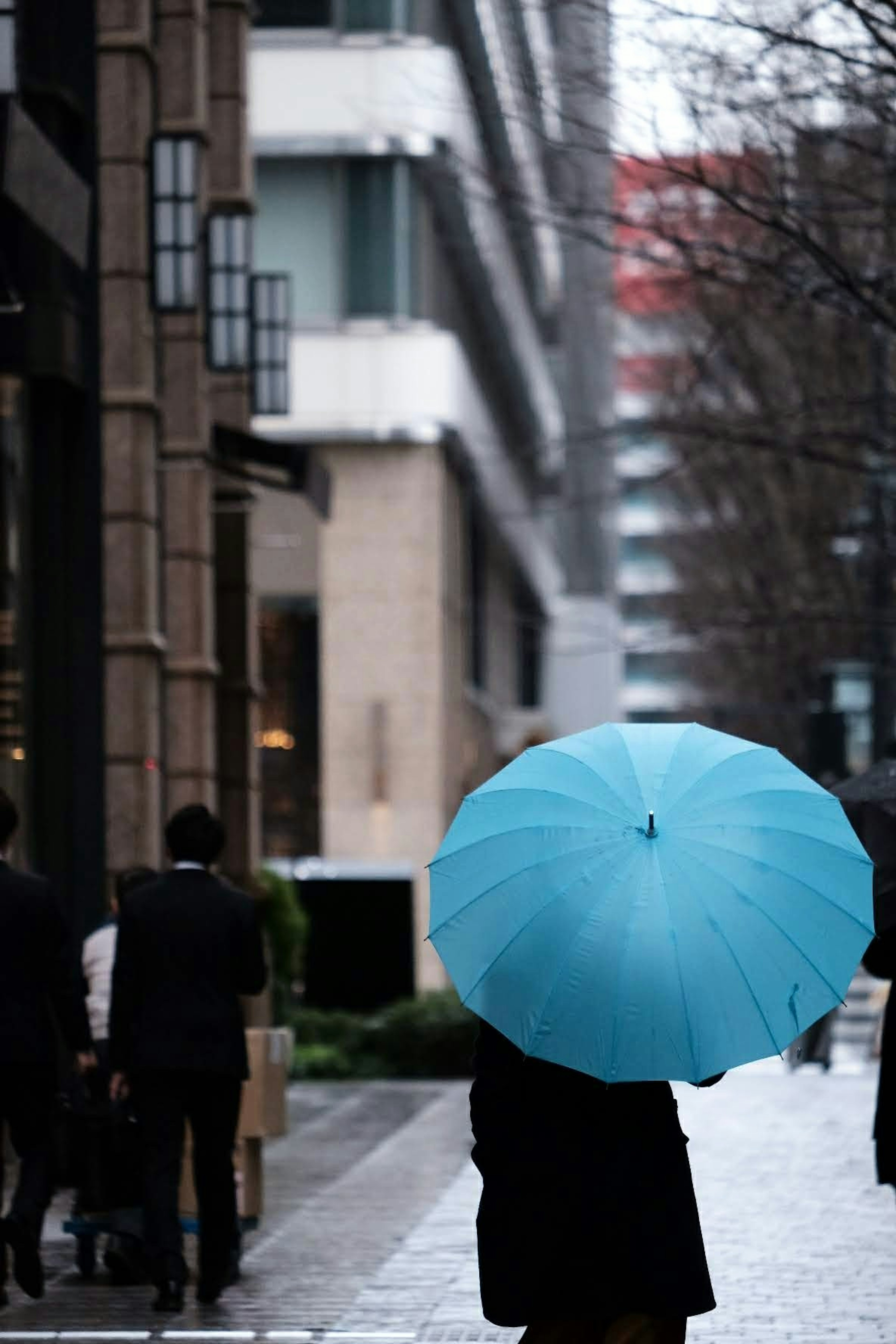 Eine Person, die mit einem blauen Regenschirm auf der Straße geht