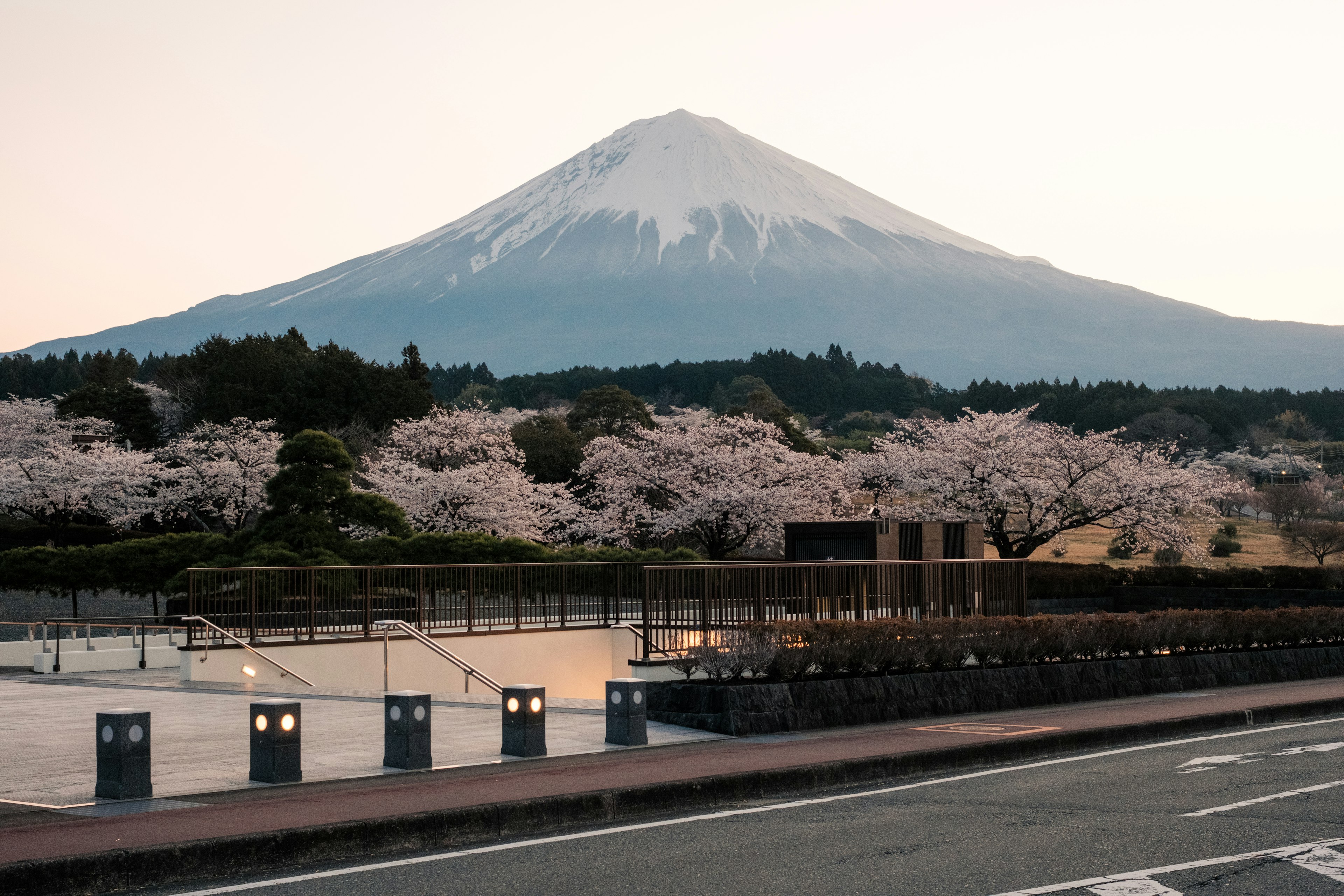 Scenic view of Mount Fuji with cherry blossoms in the foreground