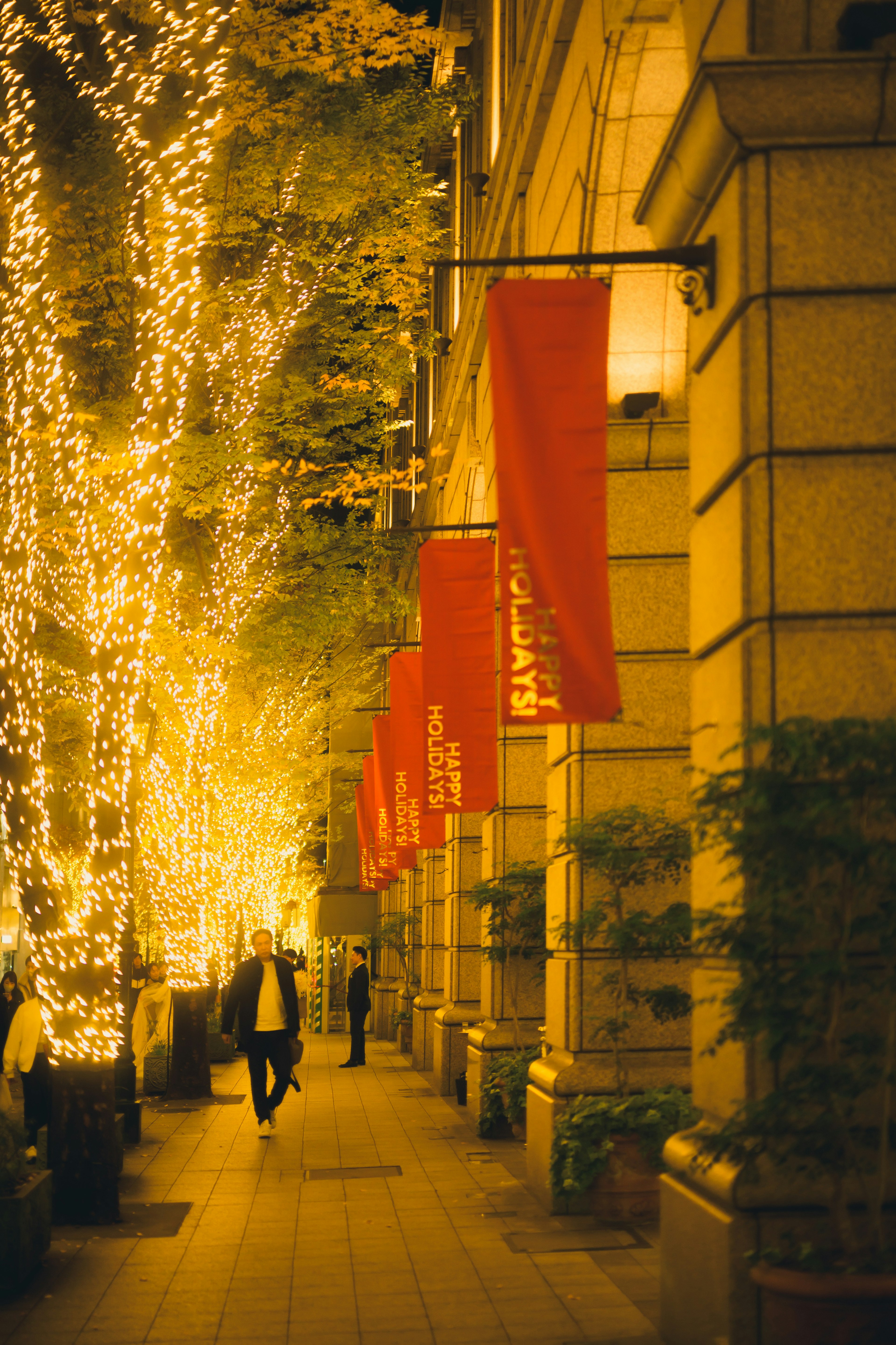 Una calle bordeada de árboles iluminados y banderas rojas por la noche