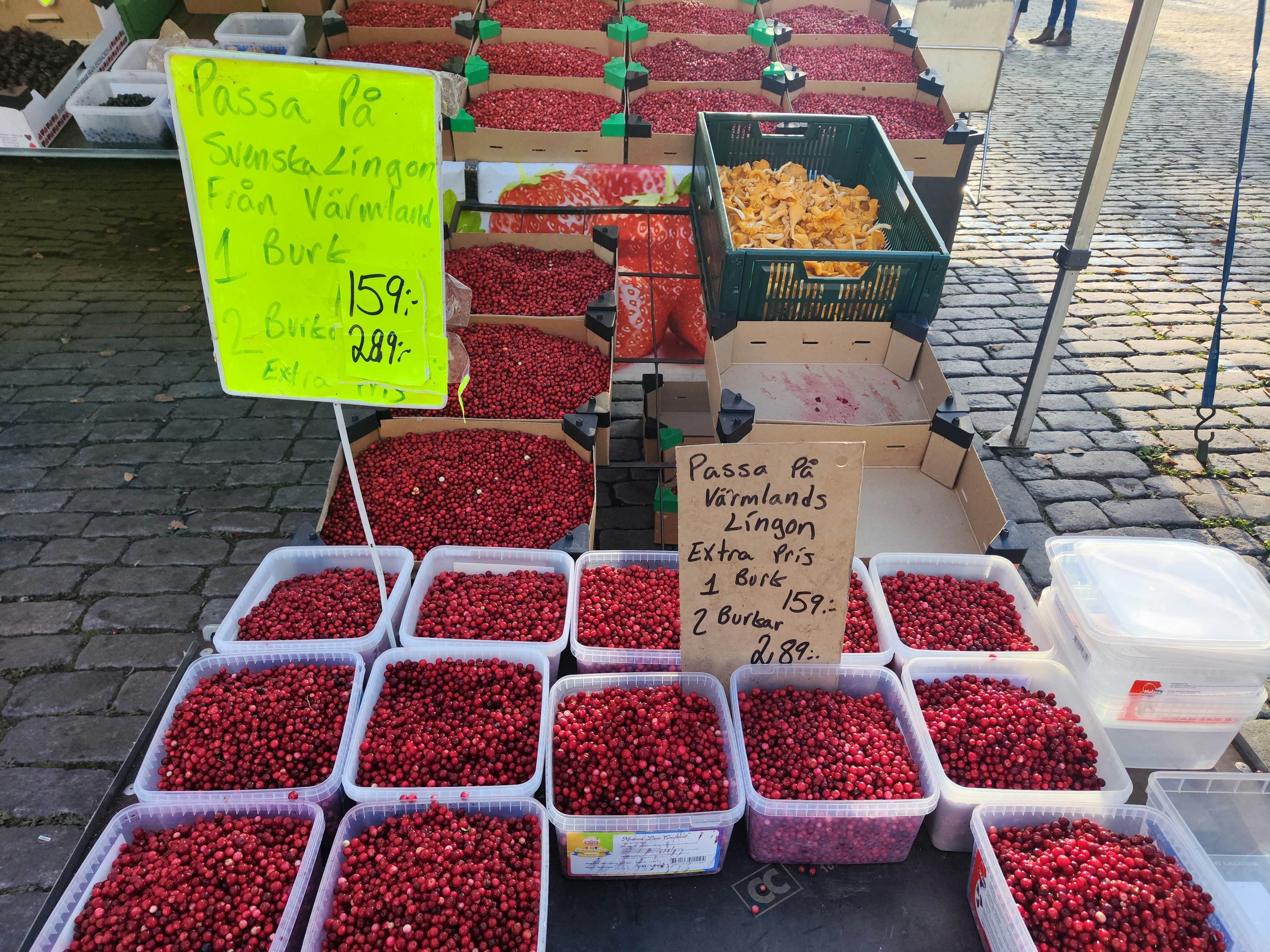 Pemandangan pasar yang hidup dengan berbagai buah buah merah dan buah kuning ditampilkan dengan jelas