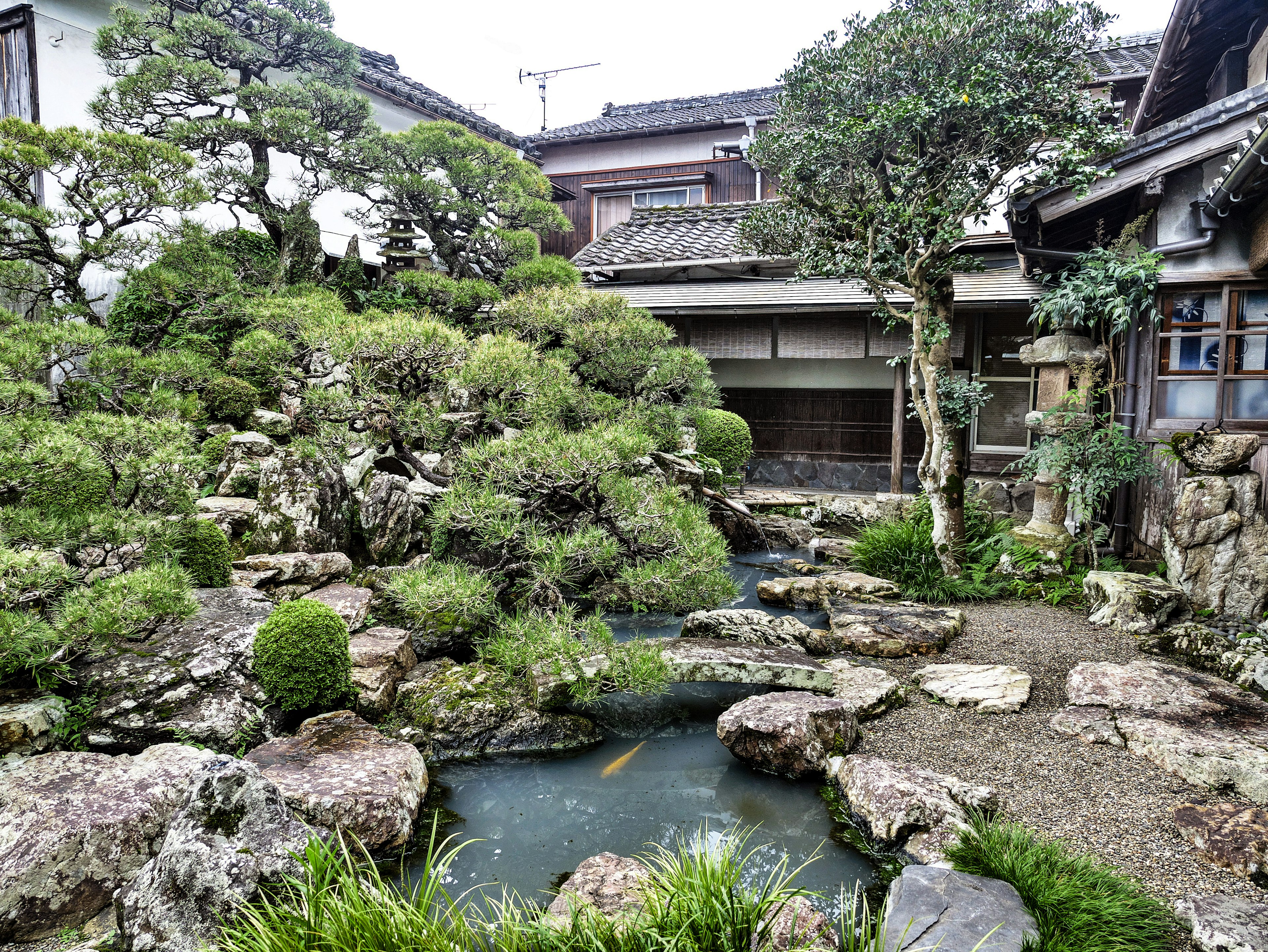 Pemandangan taman Jepang yang tenang dengan vegetasi subur dan perpaduan harmonis batu dan air