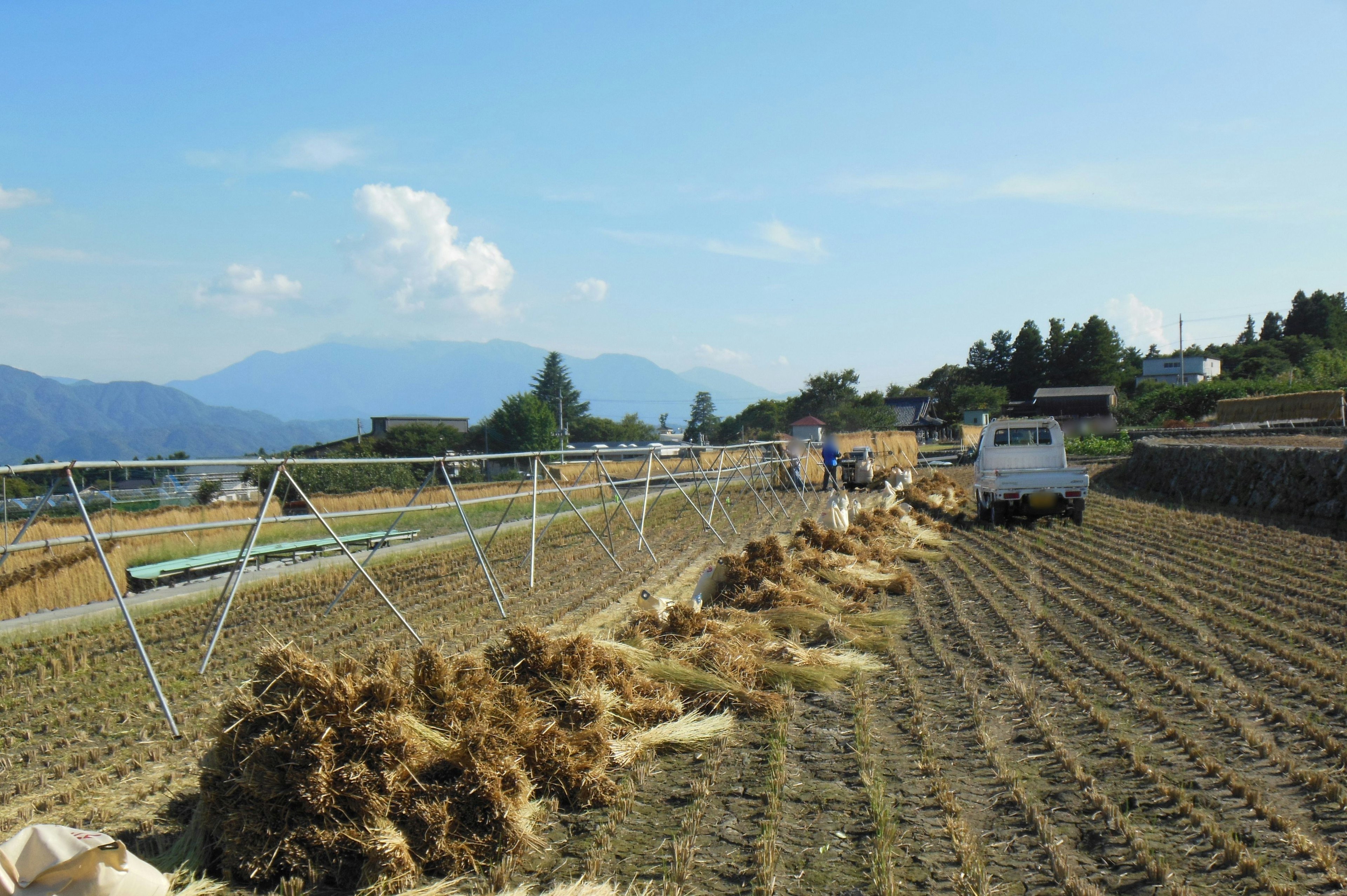 Agricultores trabajando en un campo con cielo azul y montañas al fondo