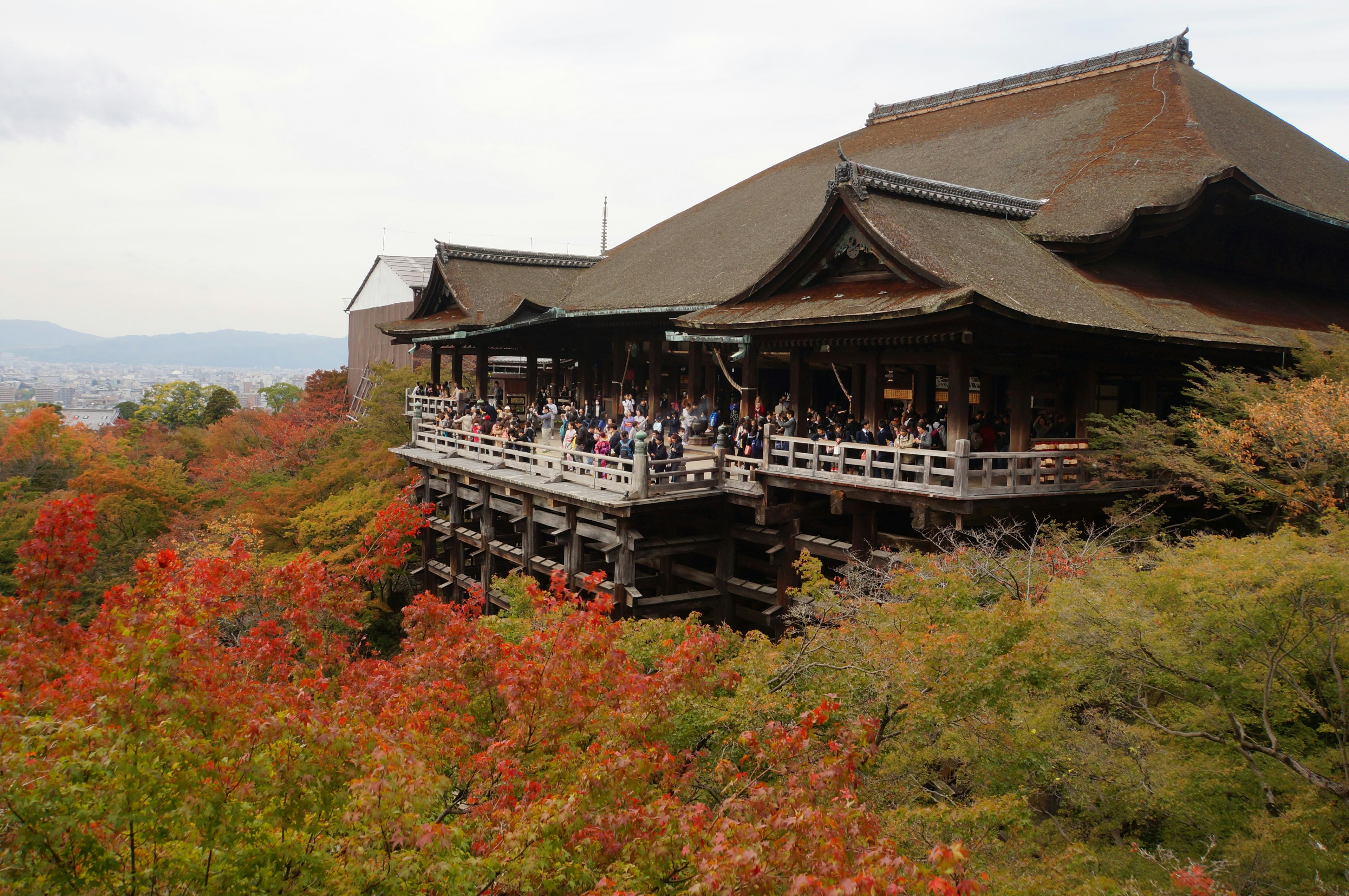 Panggung kuil Kiyomizu-dera dikelilingi oleh daun musim gugur dan pengunjung