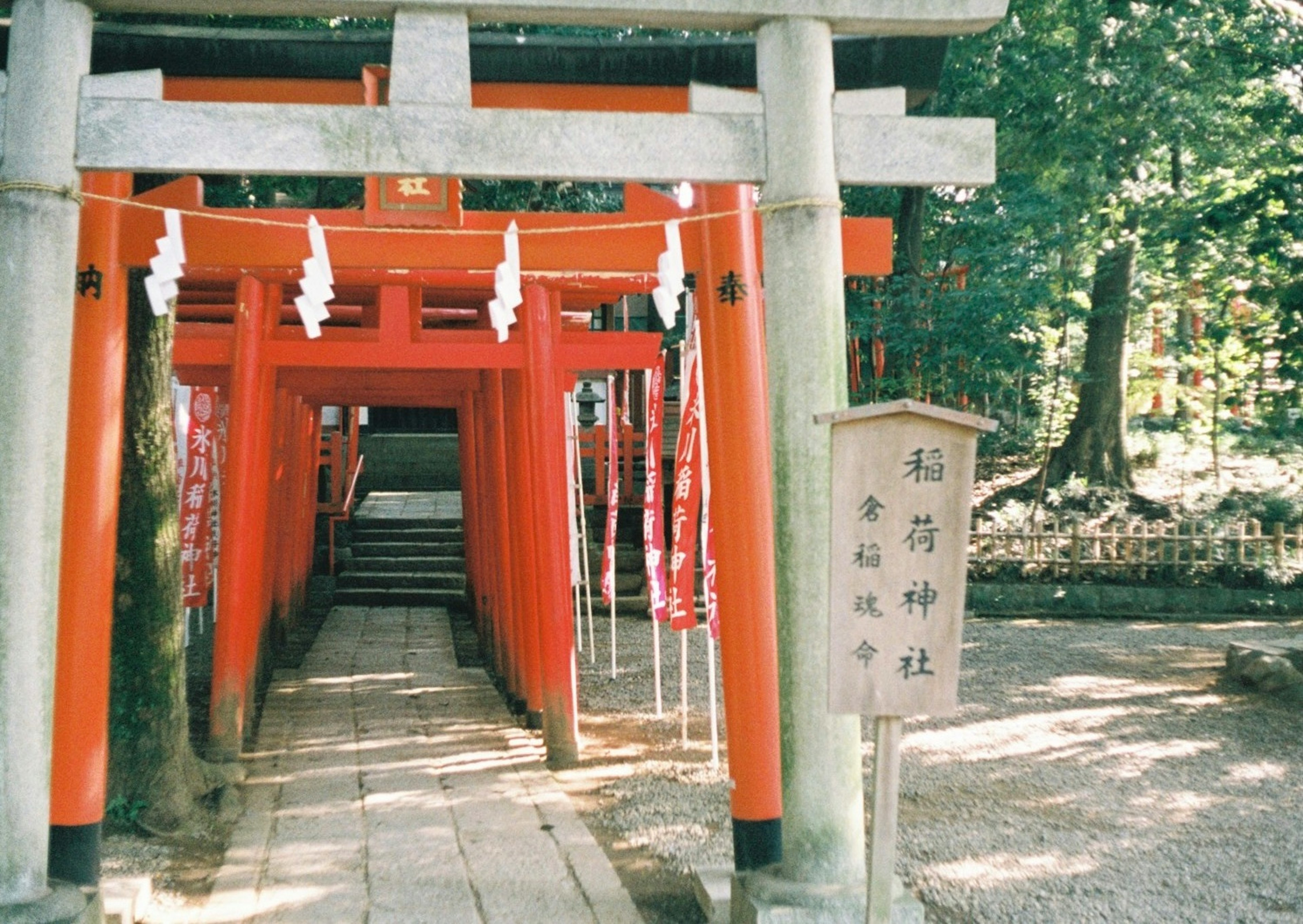 赤い鳥居が並ぶ神社の入り口の風景