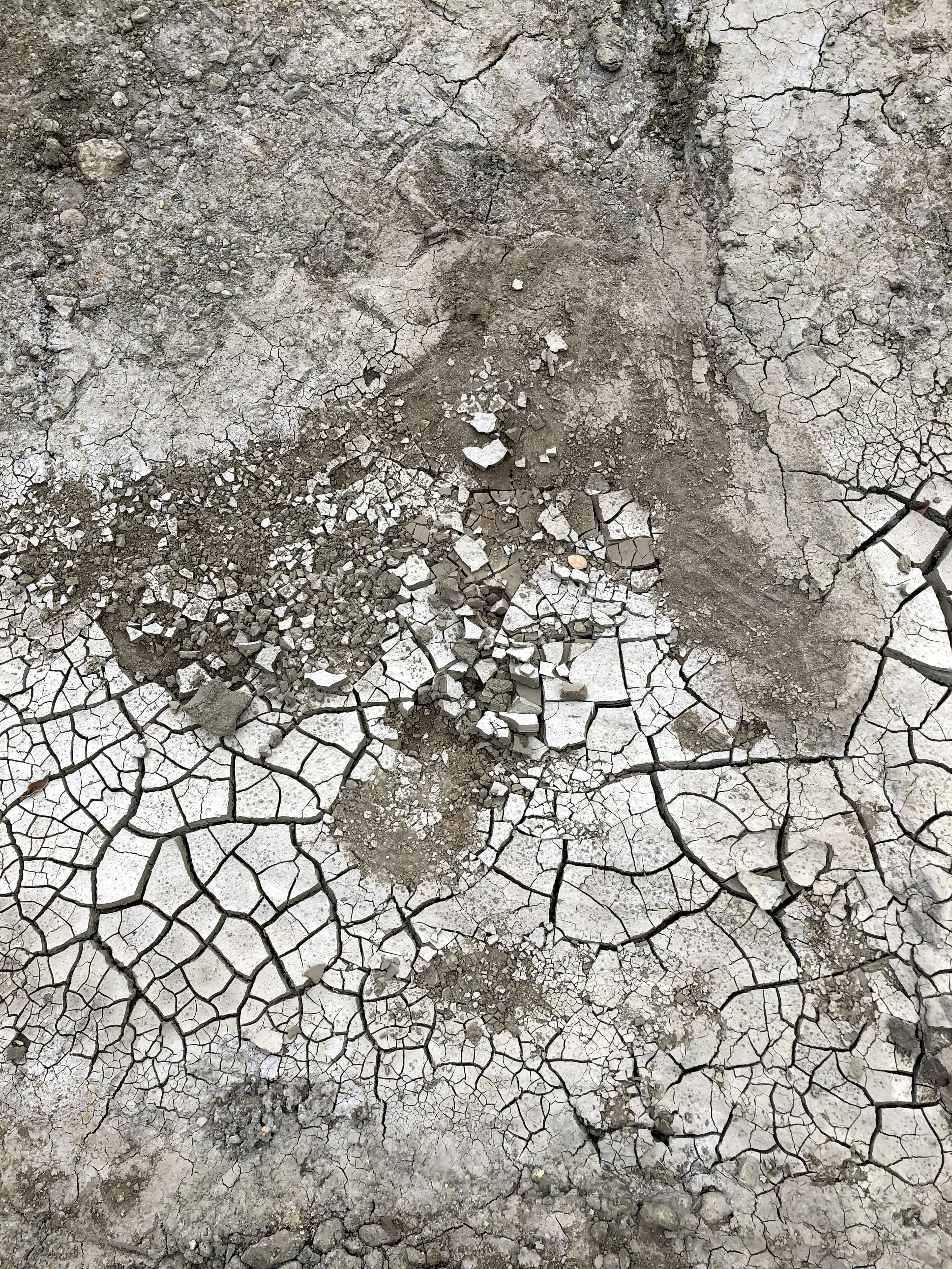 Textura de suelo agrietado con tonos grises y blancos