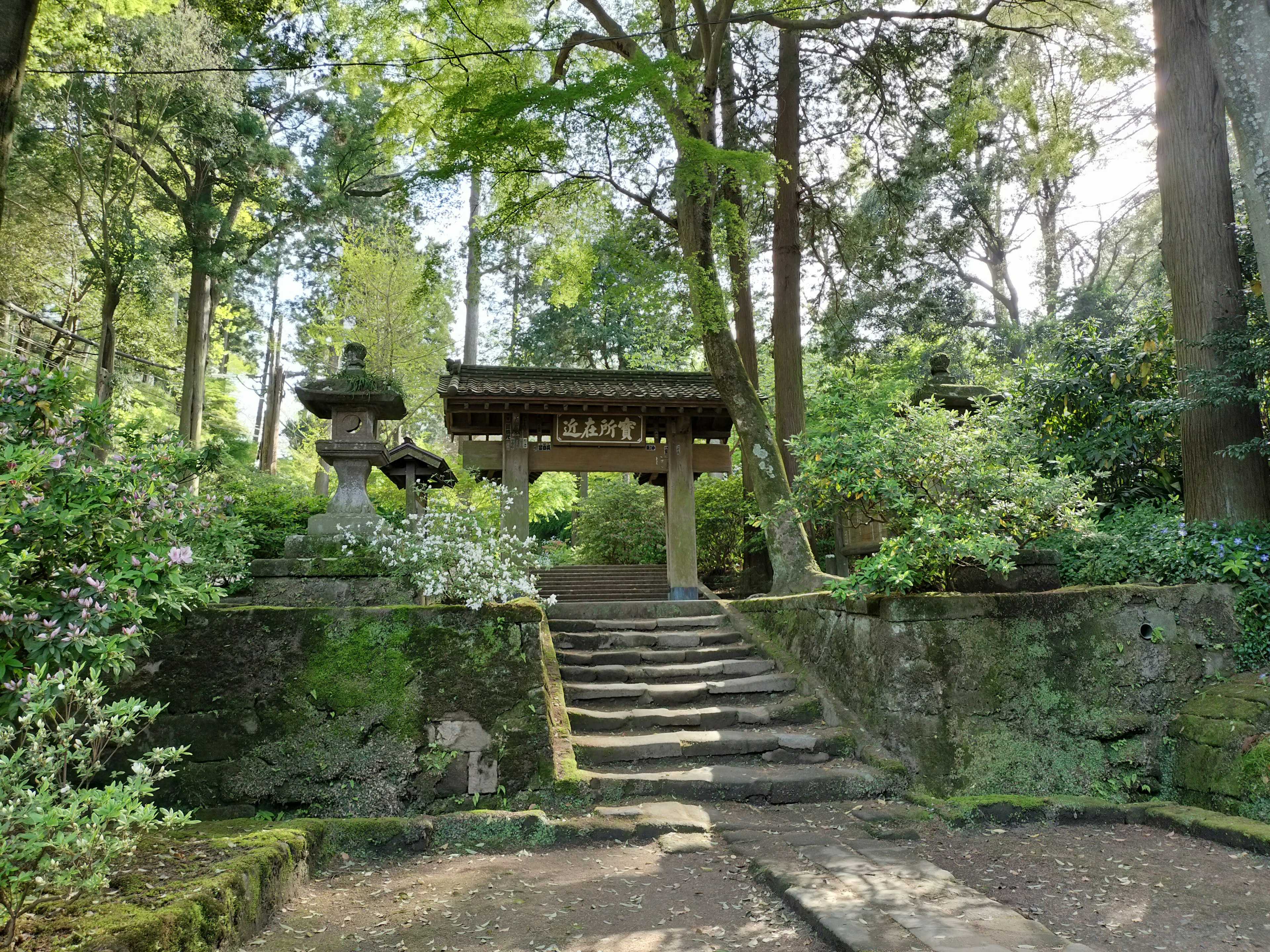 Traditionelles japanisches Tor und Steinstufen in einem schönen Garten