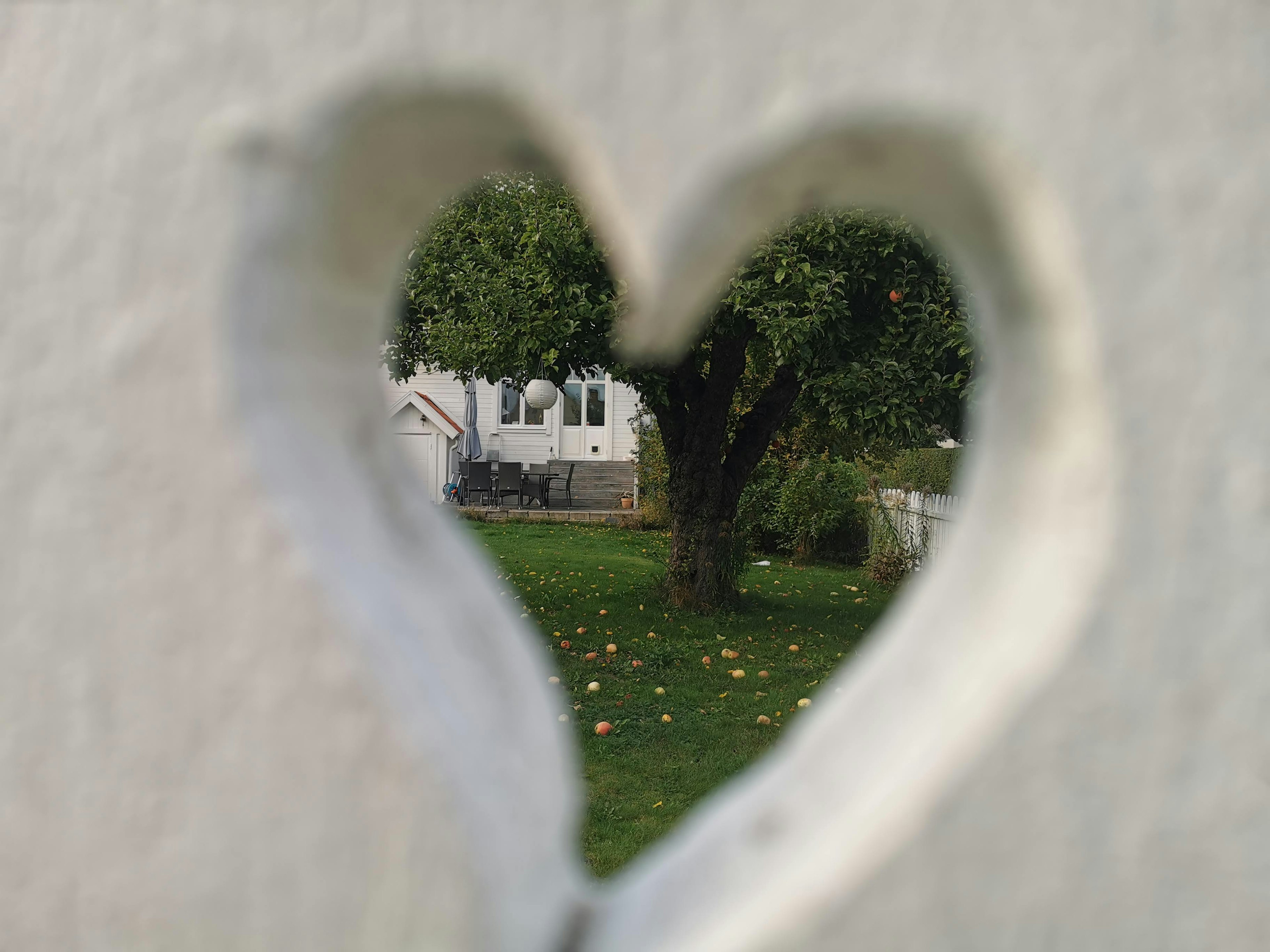 Vue à travers un trou en forme de cœur avec un arbre et une maison