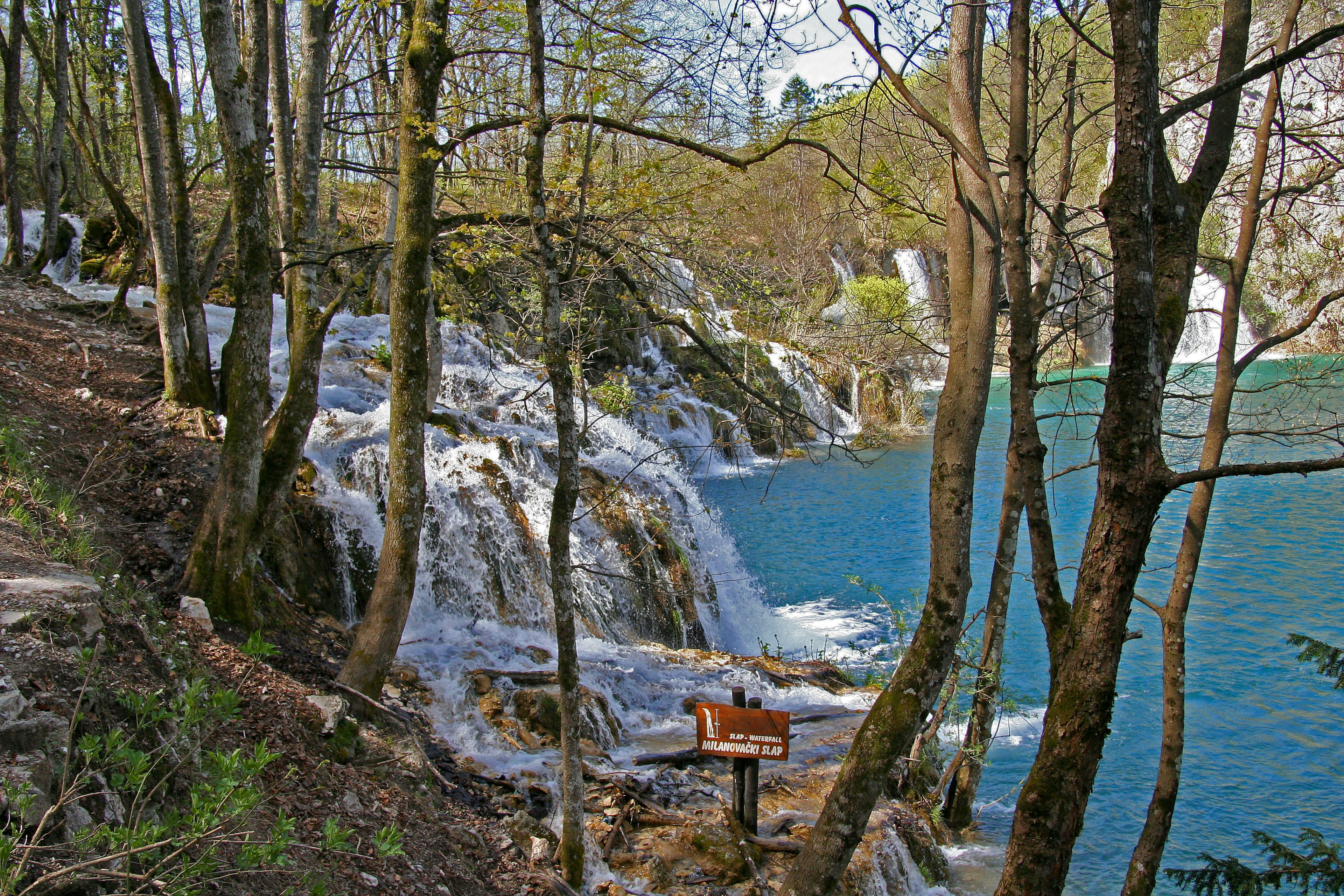 Paisaje forestal con lago azul y cascadas