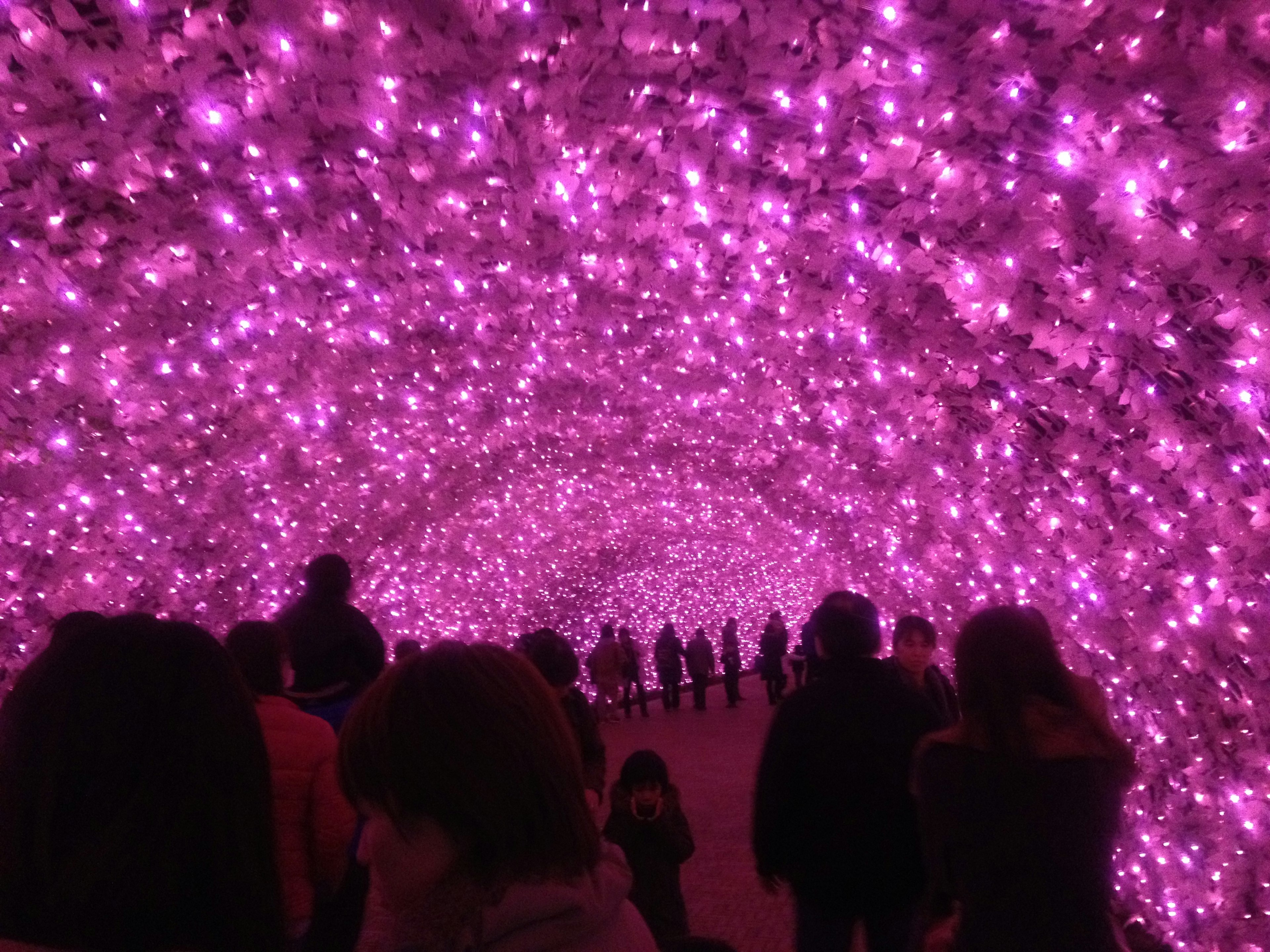 People walking through a tunnel illuminated by pink lights