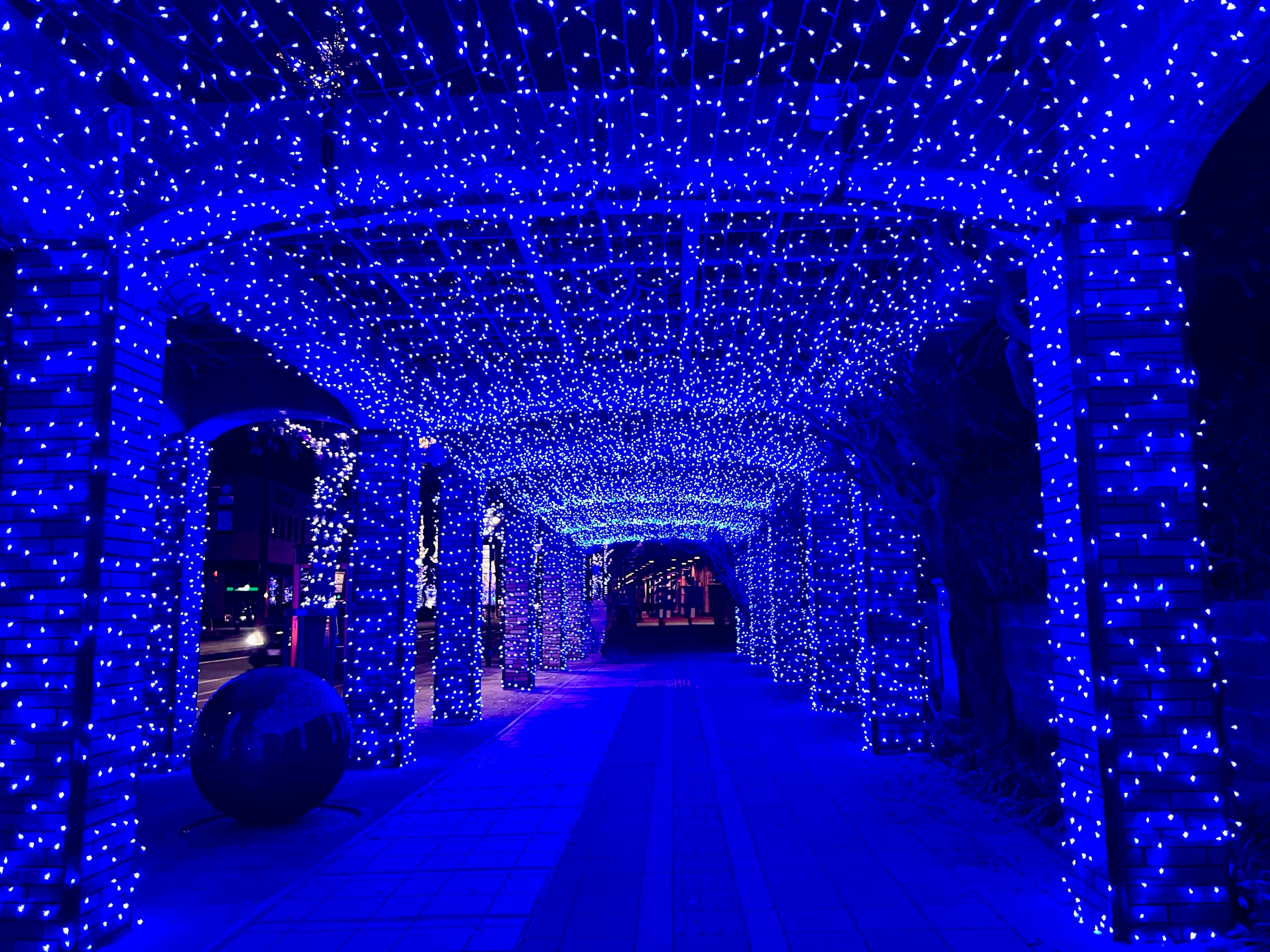 Un tunnel décoré de lumières bleues créant un chemin vibrant illuminé par d'innombrables lumières LED