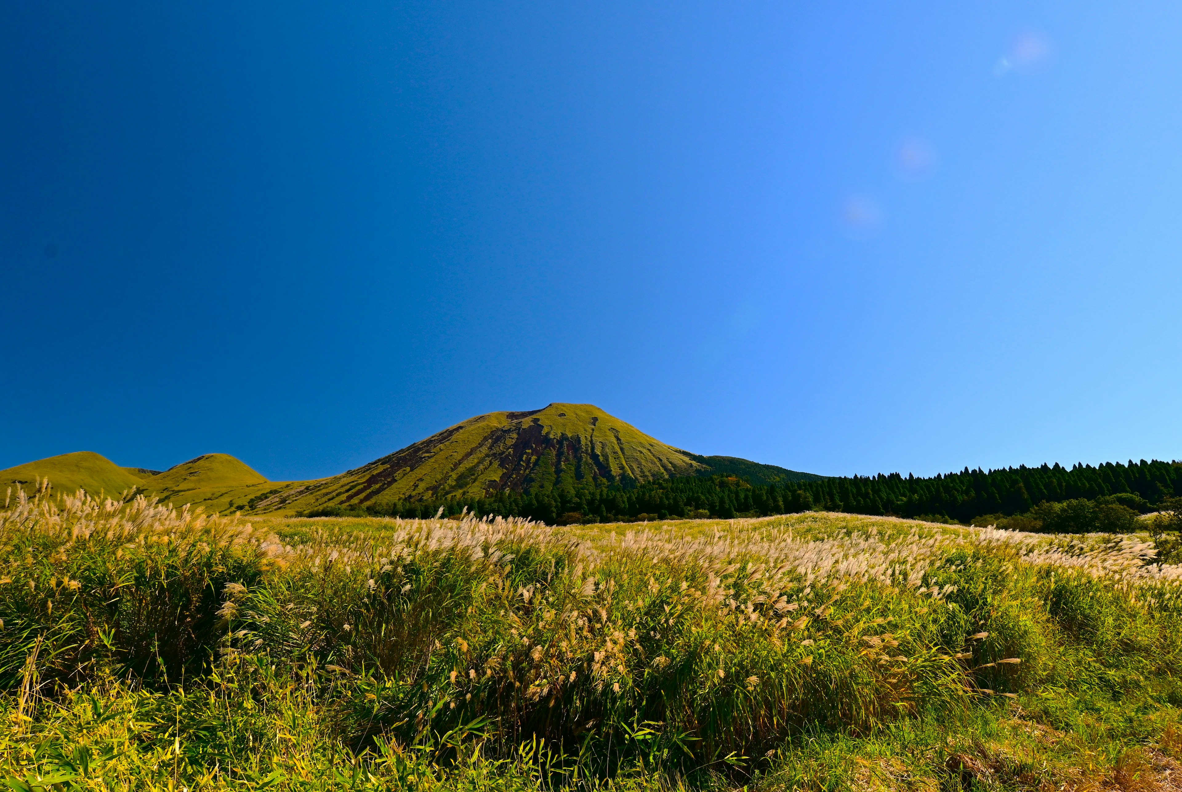 青空の下の緑豊かな草原と山の風景