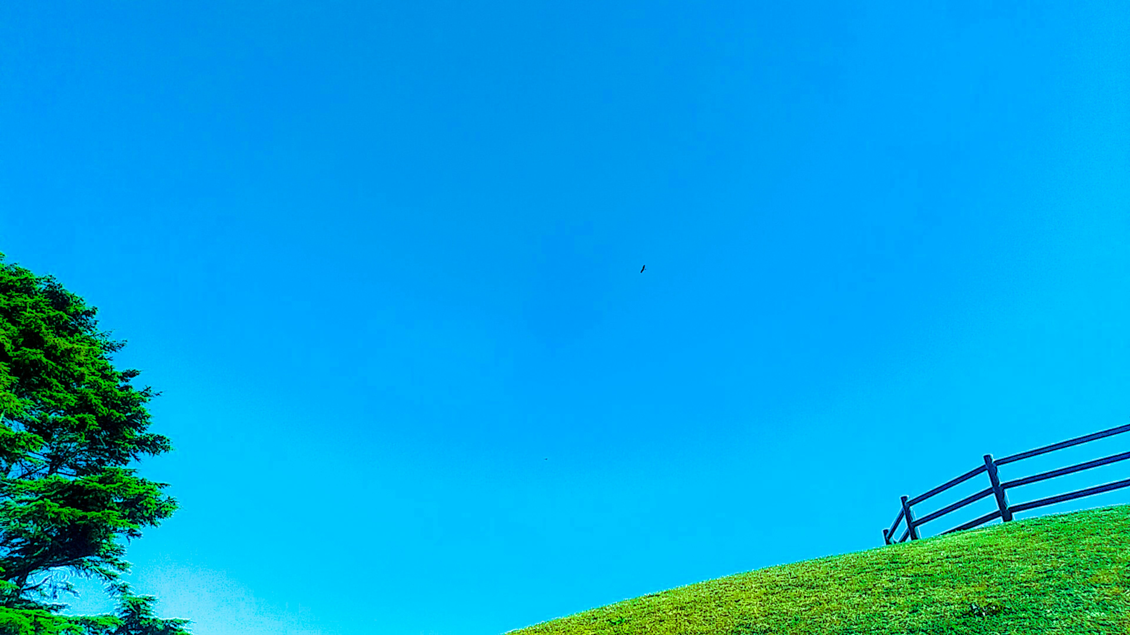 Lanskap dengan langit biru dan bukit hijau dengan pohon dan pagar