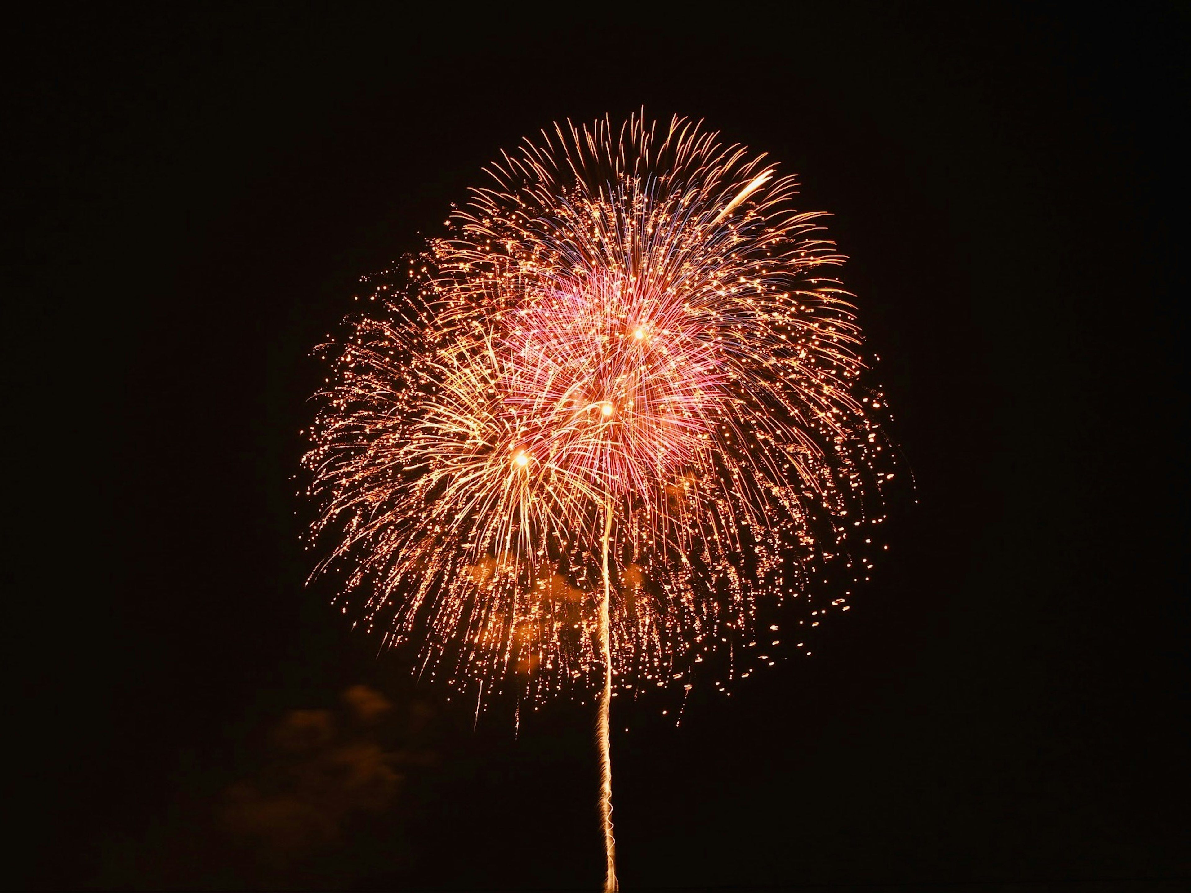 Vibrant fireworks display in the night sky with colorful patterns