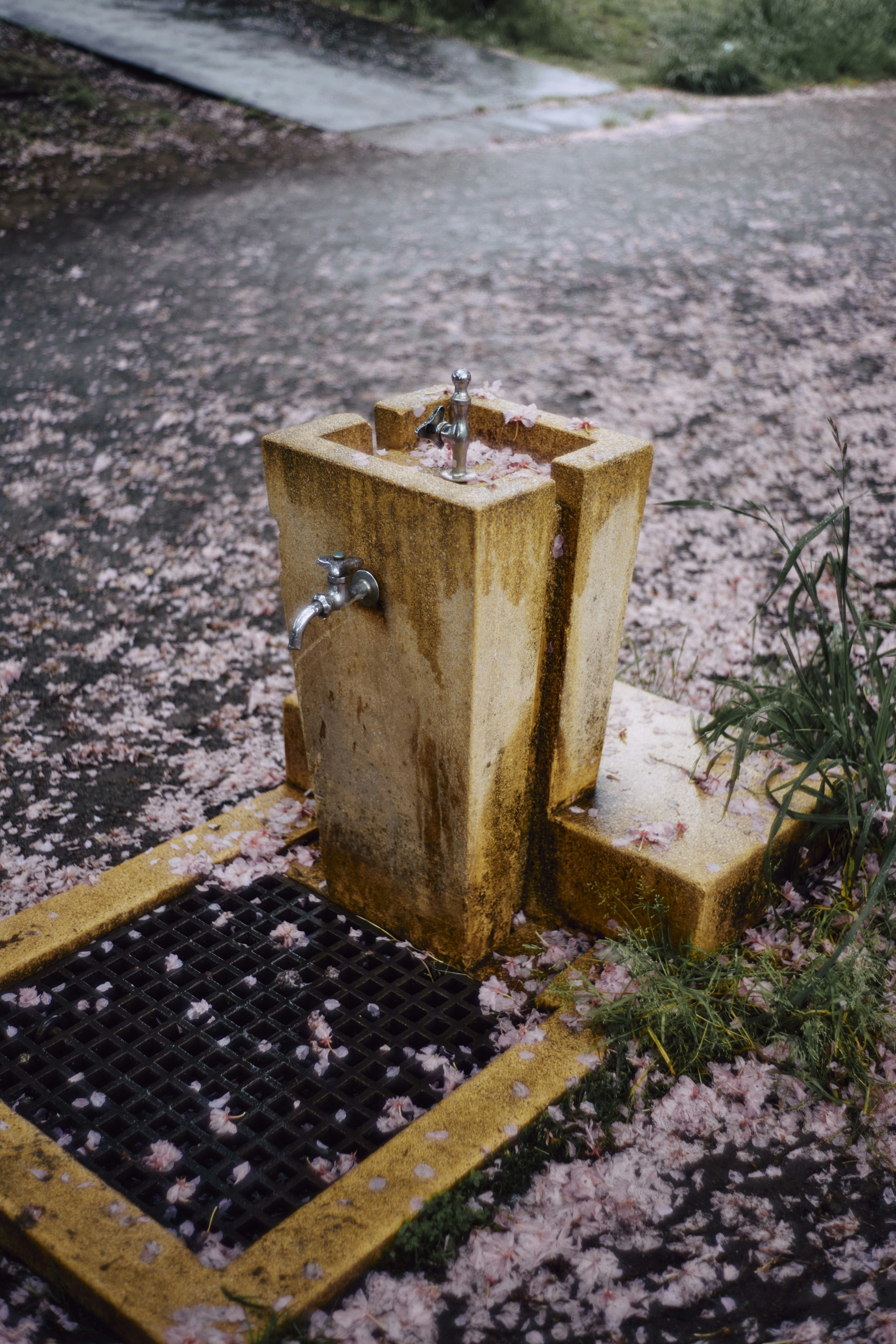 Une fontaine entourée de pétales de cerisier éparpillés