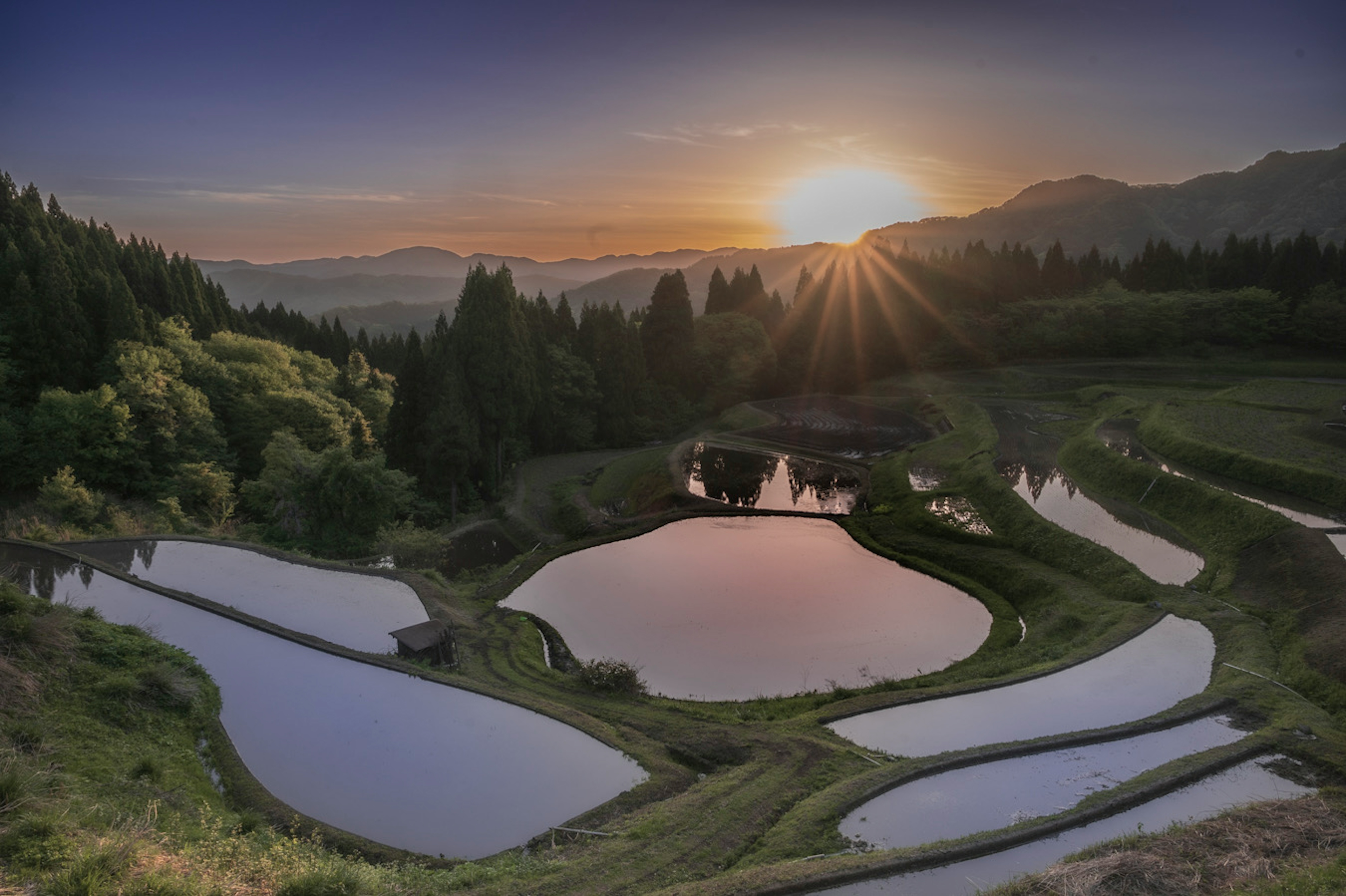 美麗的梯田與日落風景