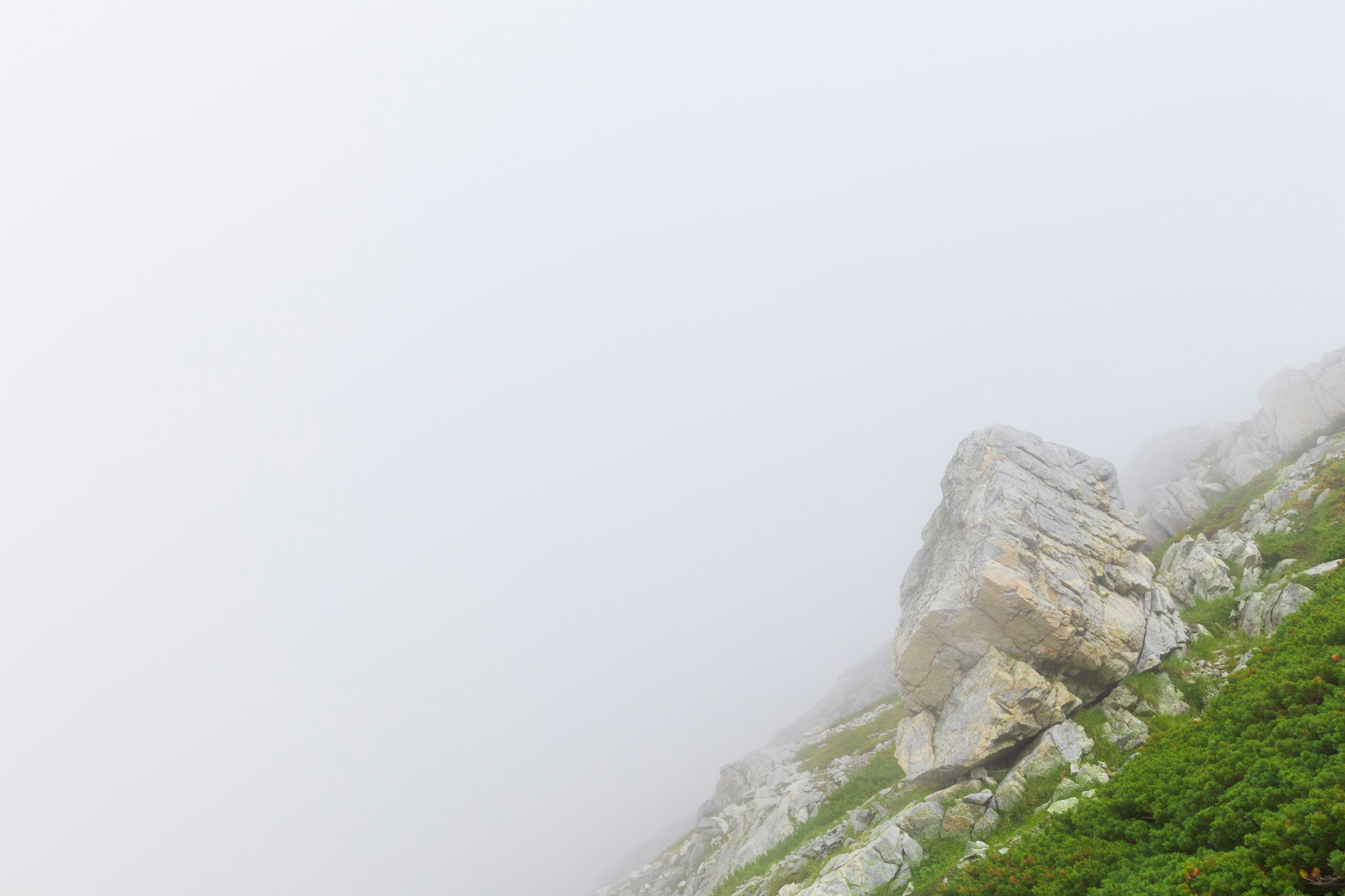 Rocky mountain landscape shrouded in fog with green vegetation