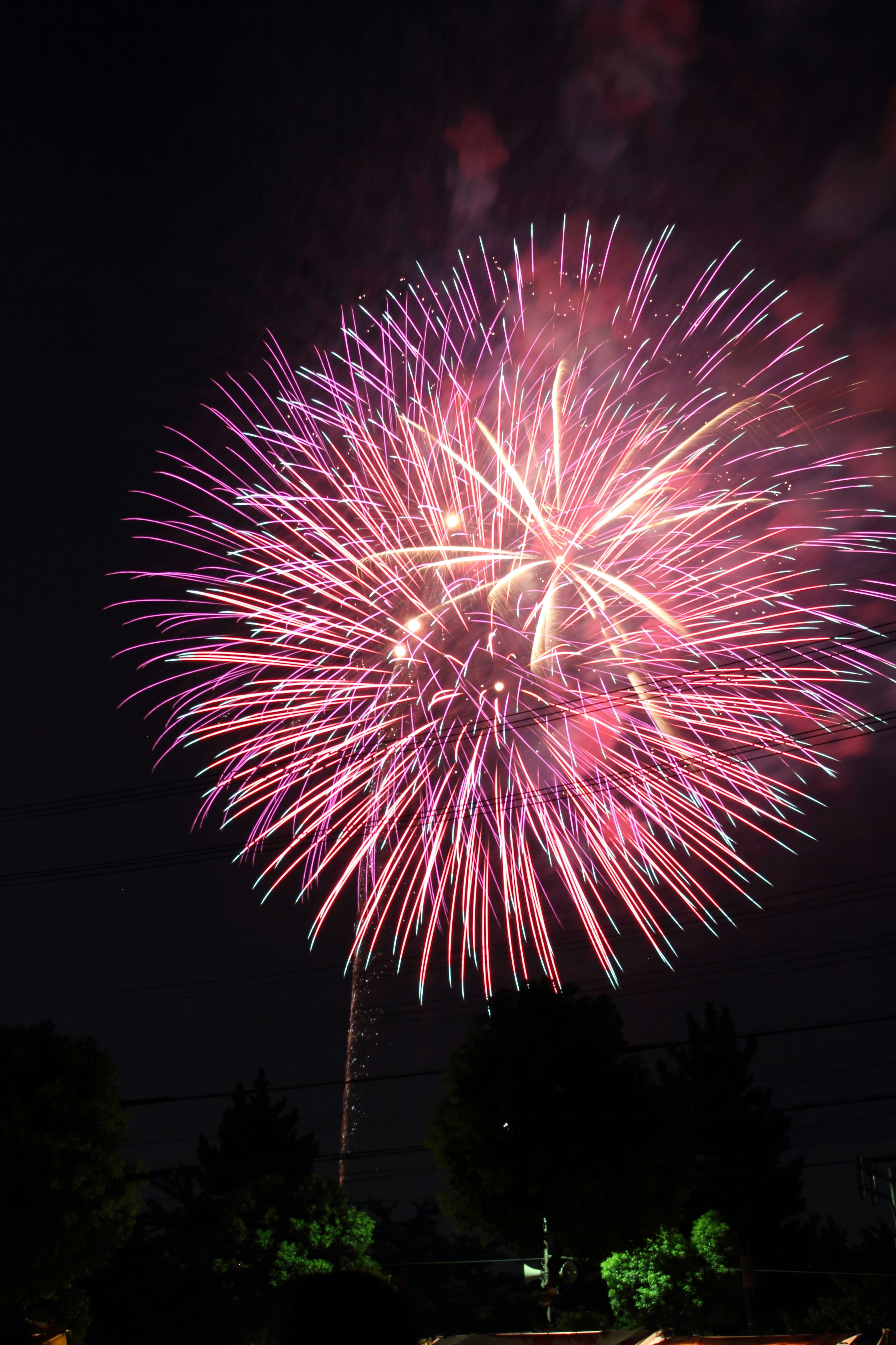 Feux d'artifice éclatants dans le ciel nocturne