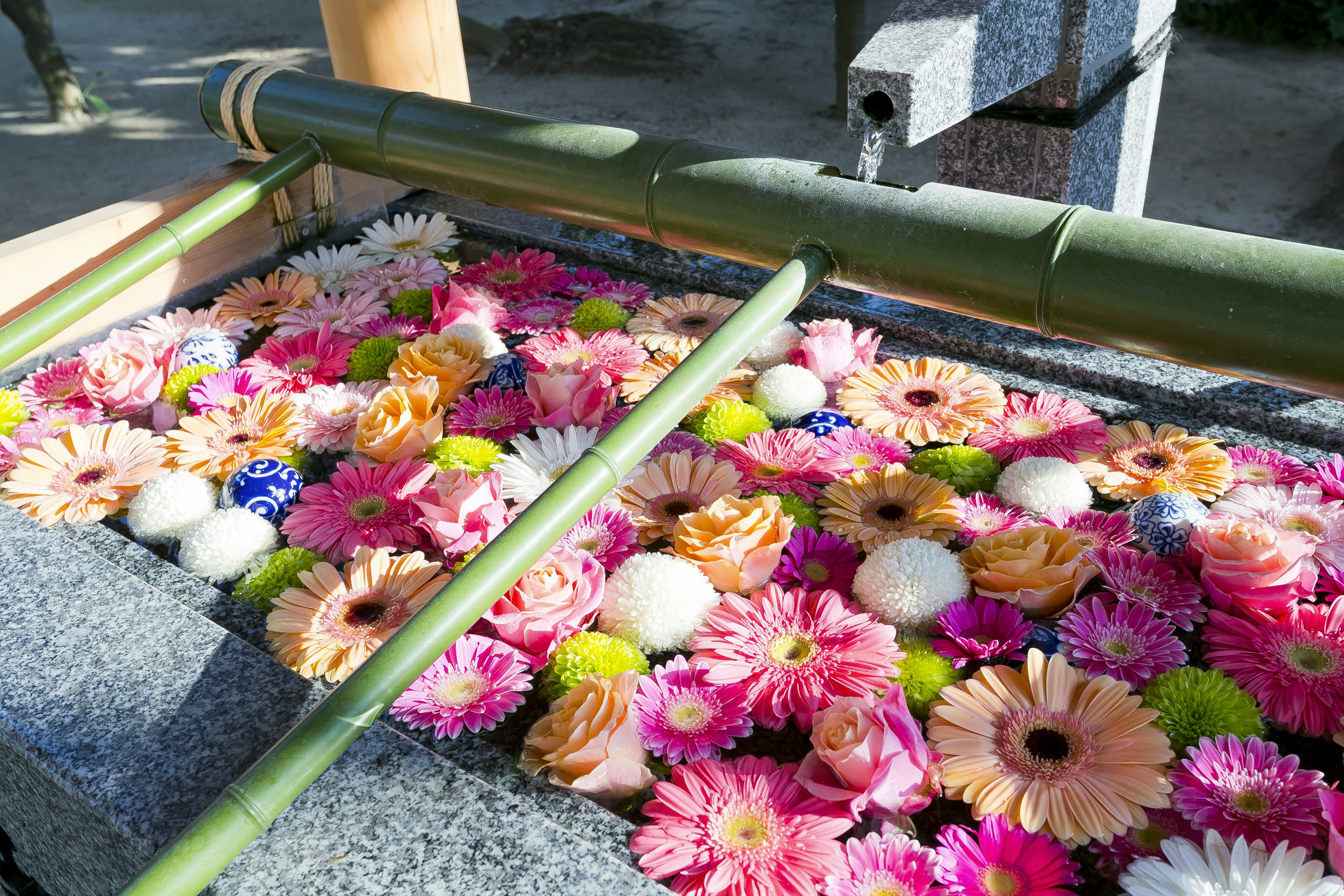 A beautiful basin filled with vibrant floating flowers